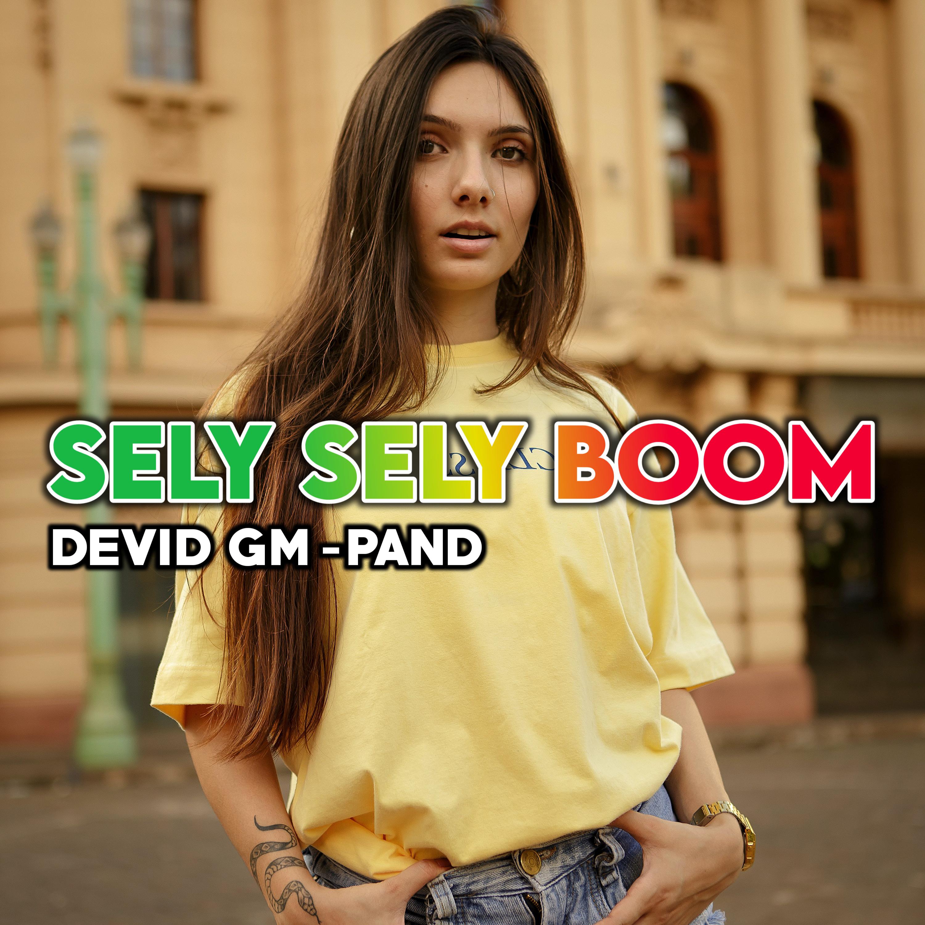 Постер альбома Sely Sely Boom