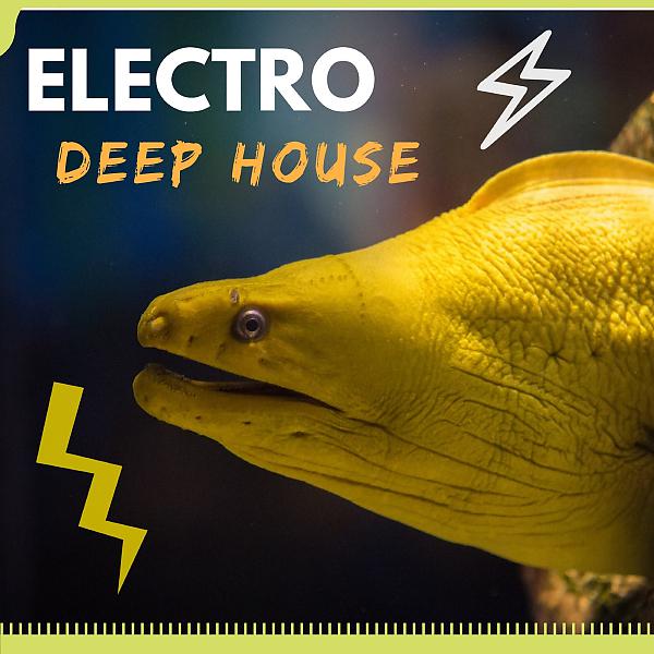 Постер альбома Electro Deep House