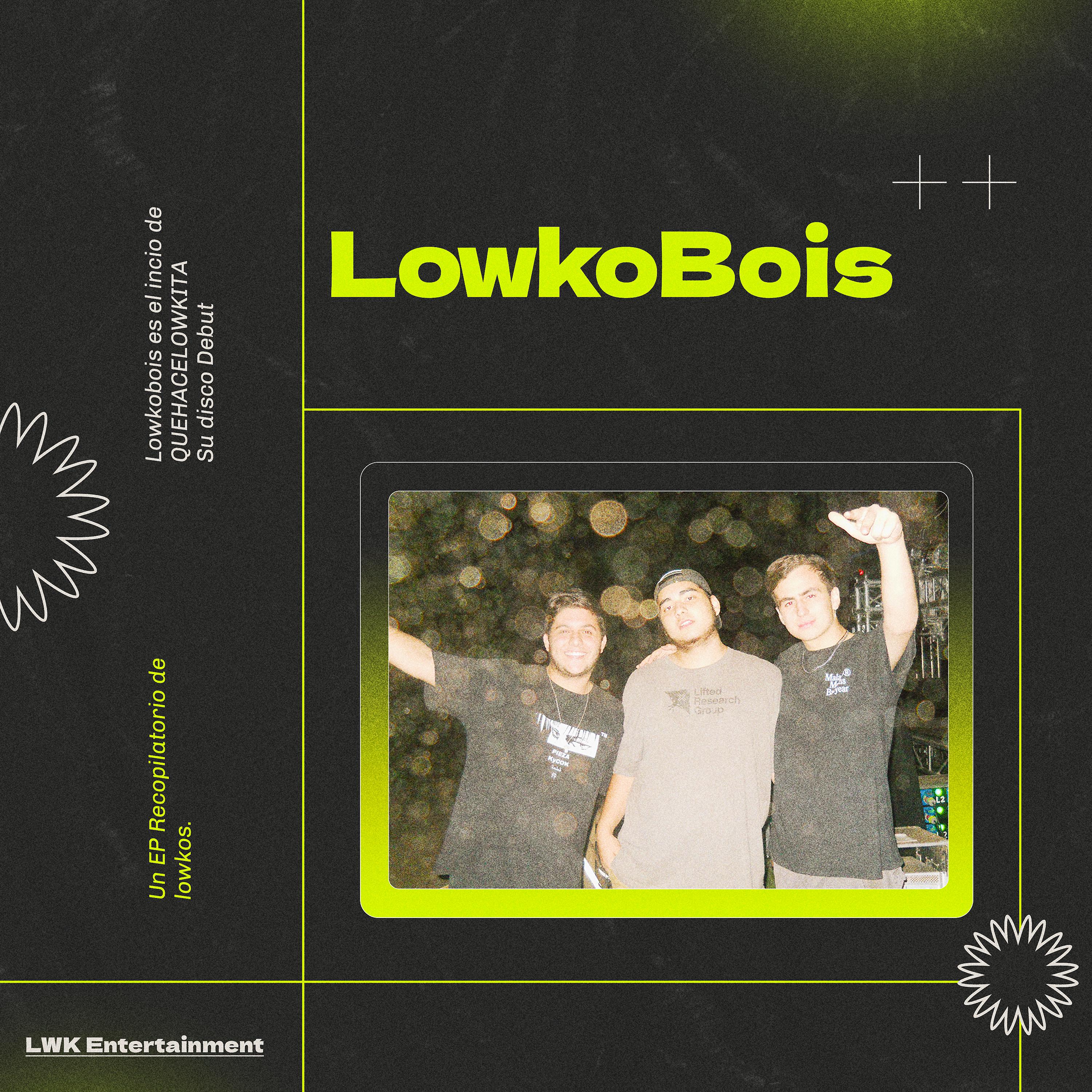 Постер альбома Lowkobois