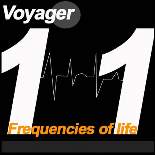 Постер альбома Frequencies of Life