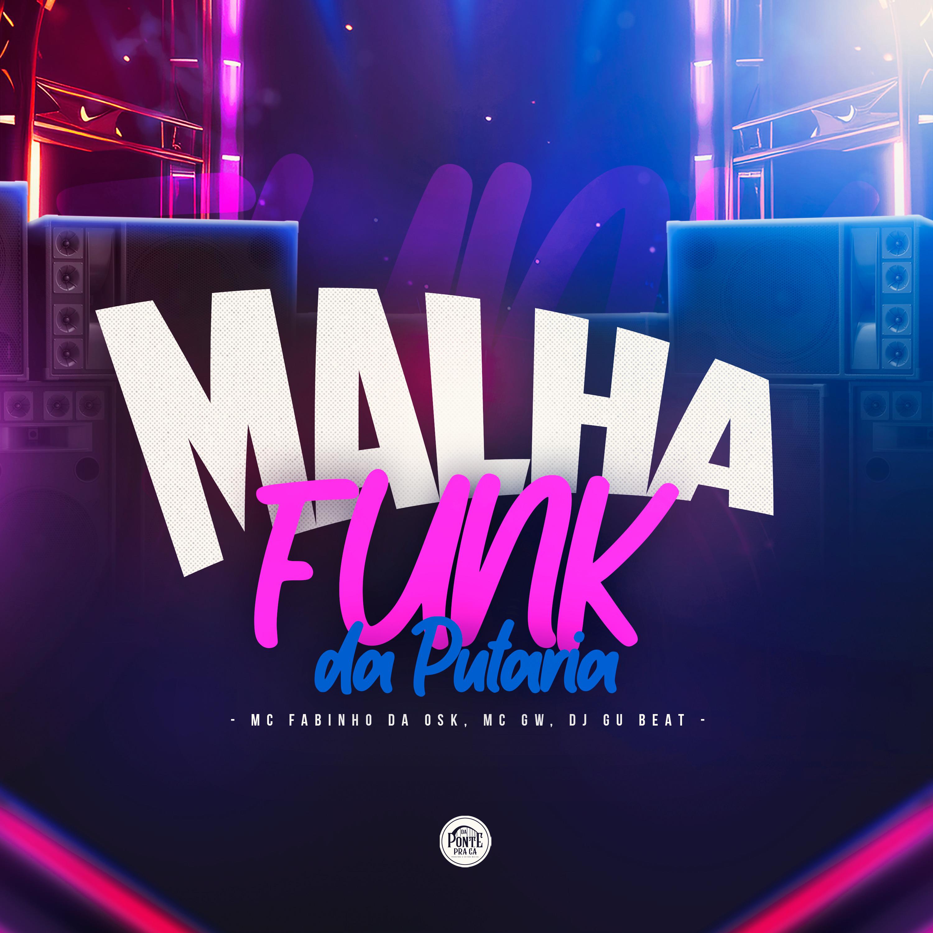 Постер альбома Malha Funk da Putaria