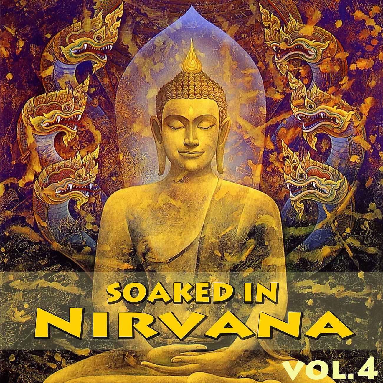 Постер альбома Soaked In Nirvana, Vol.4