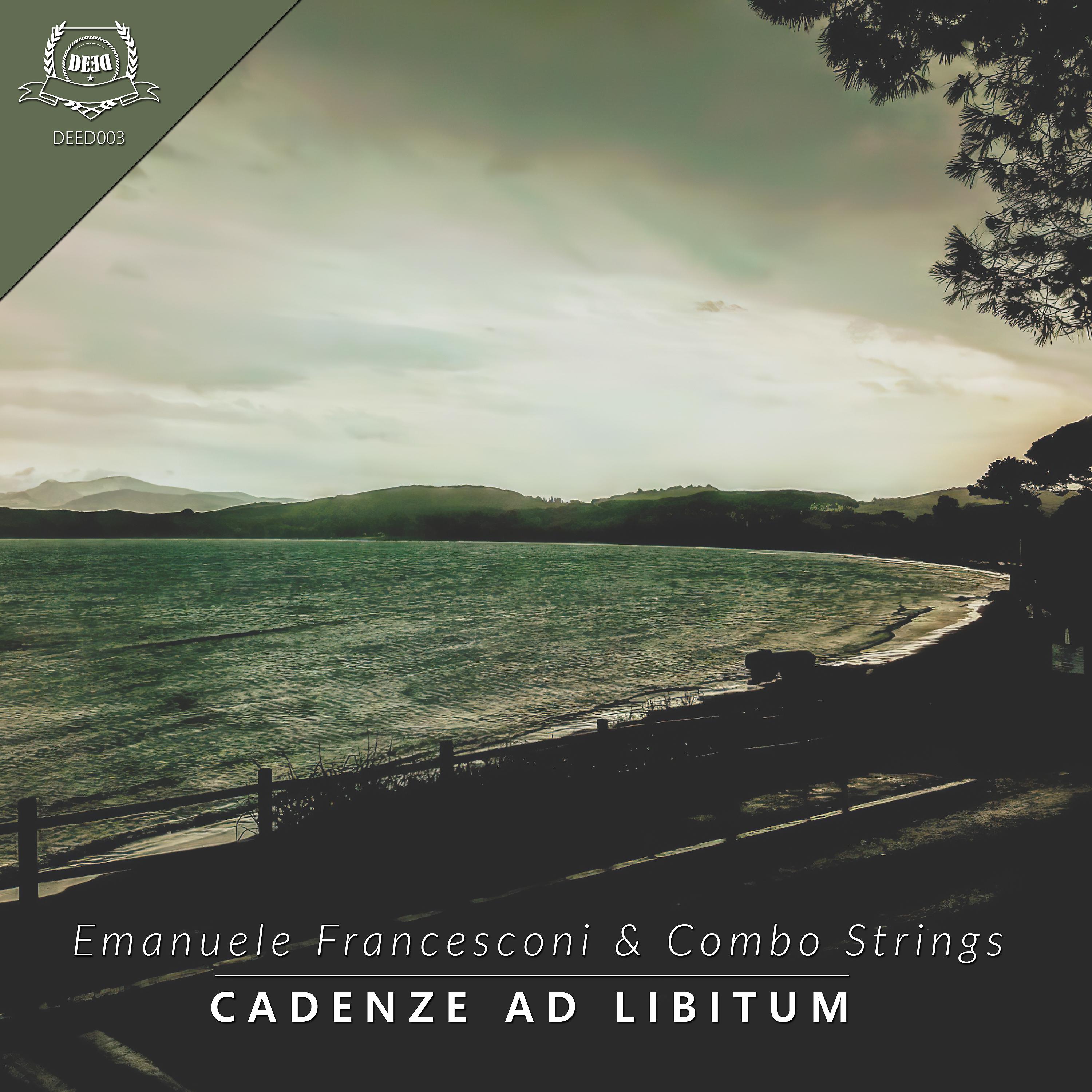 Постер альбома Cadenze Ad Libitum