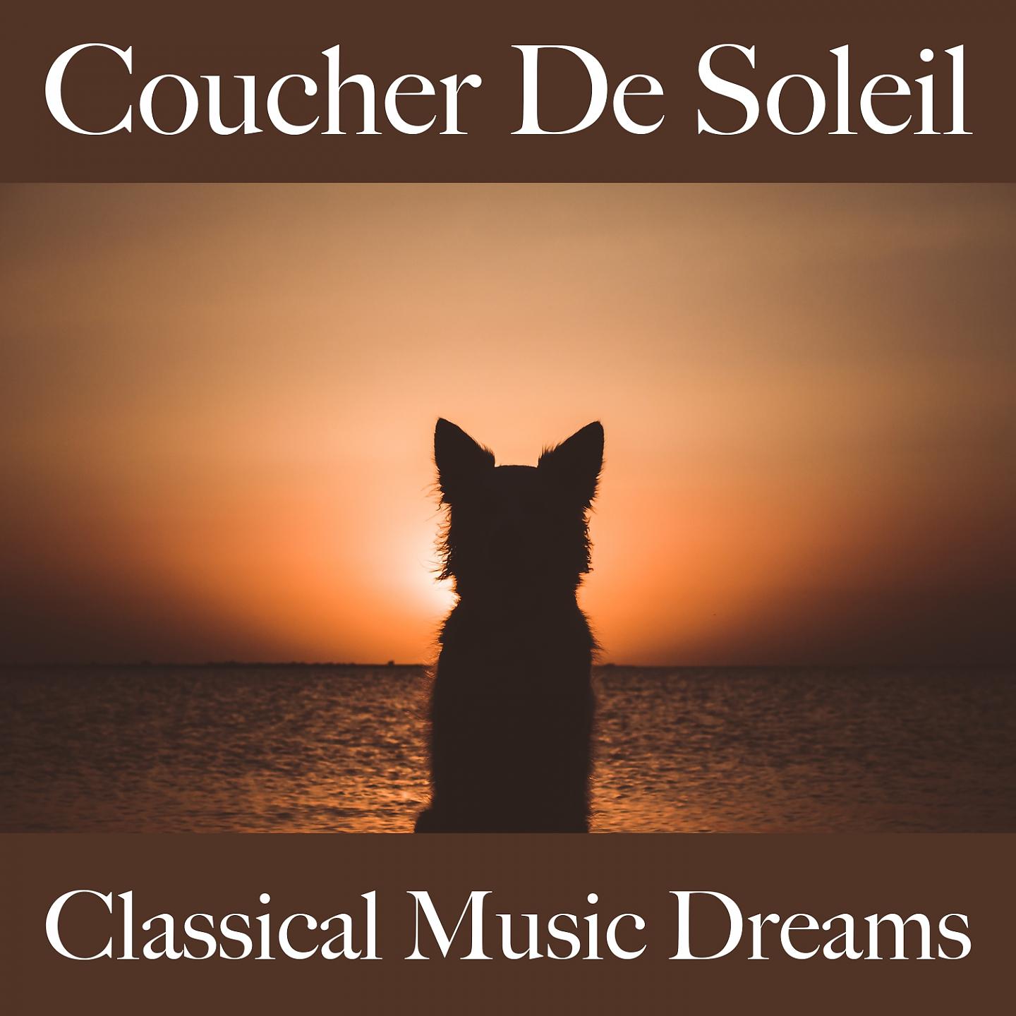 Постер альбома Coucher De Soleil: Classical Music Dreams - La Meilleure Musique Pour Se Détendre