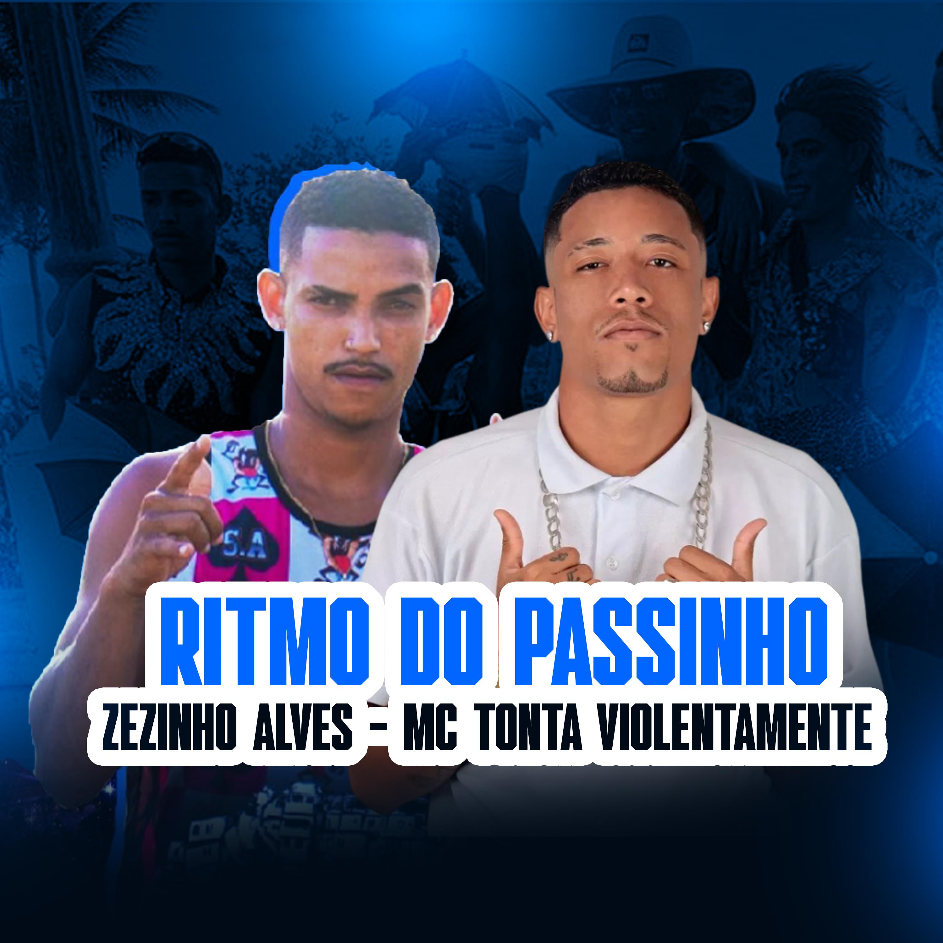 Постер альбома Ritmo do Passinho