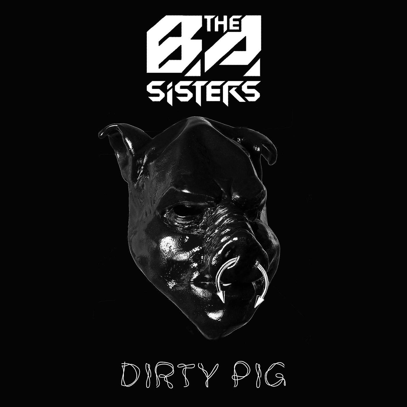 Постер альбома Dirty Pig
