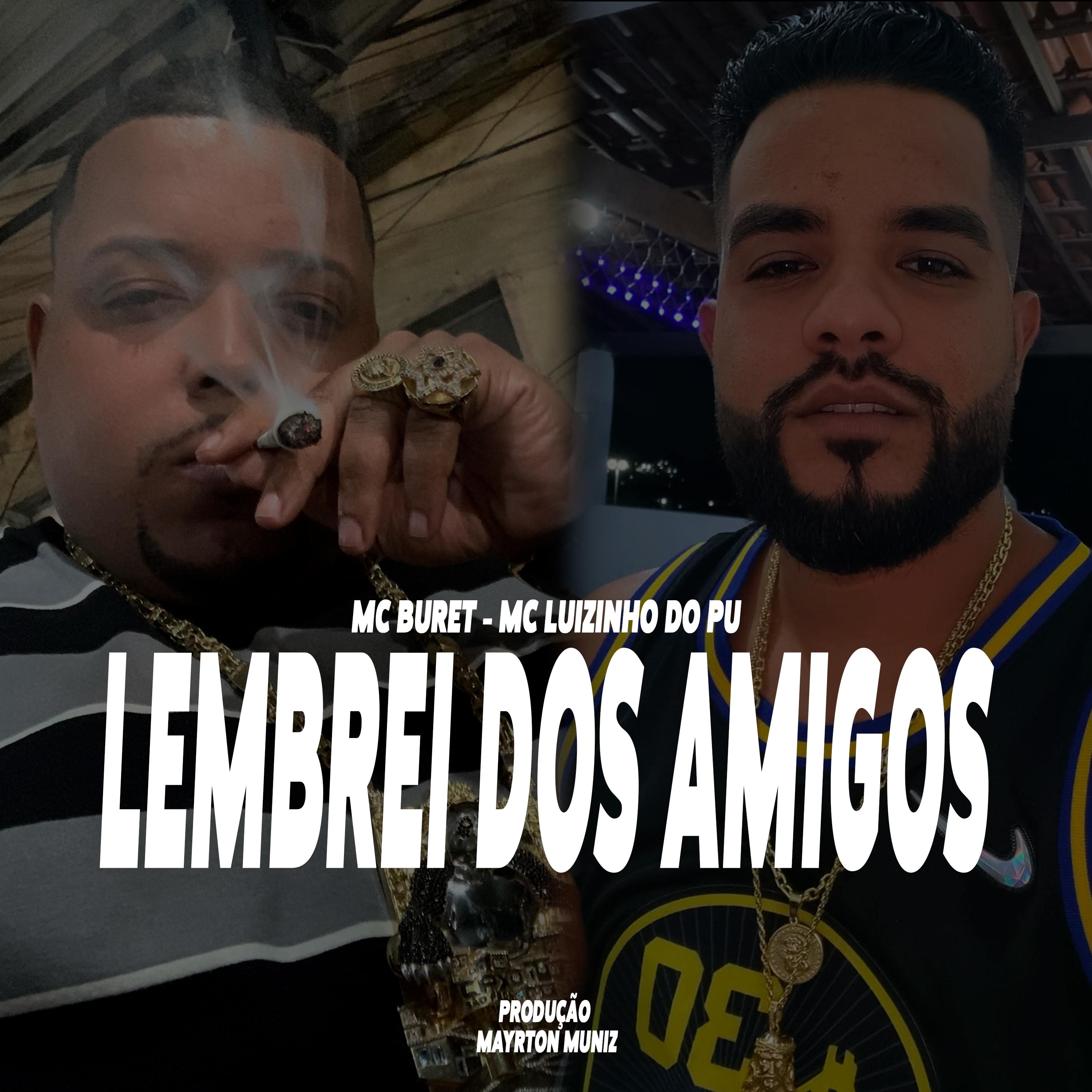 Постер альбома Lembrei dos Amigos
