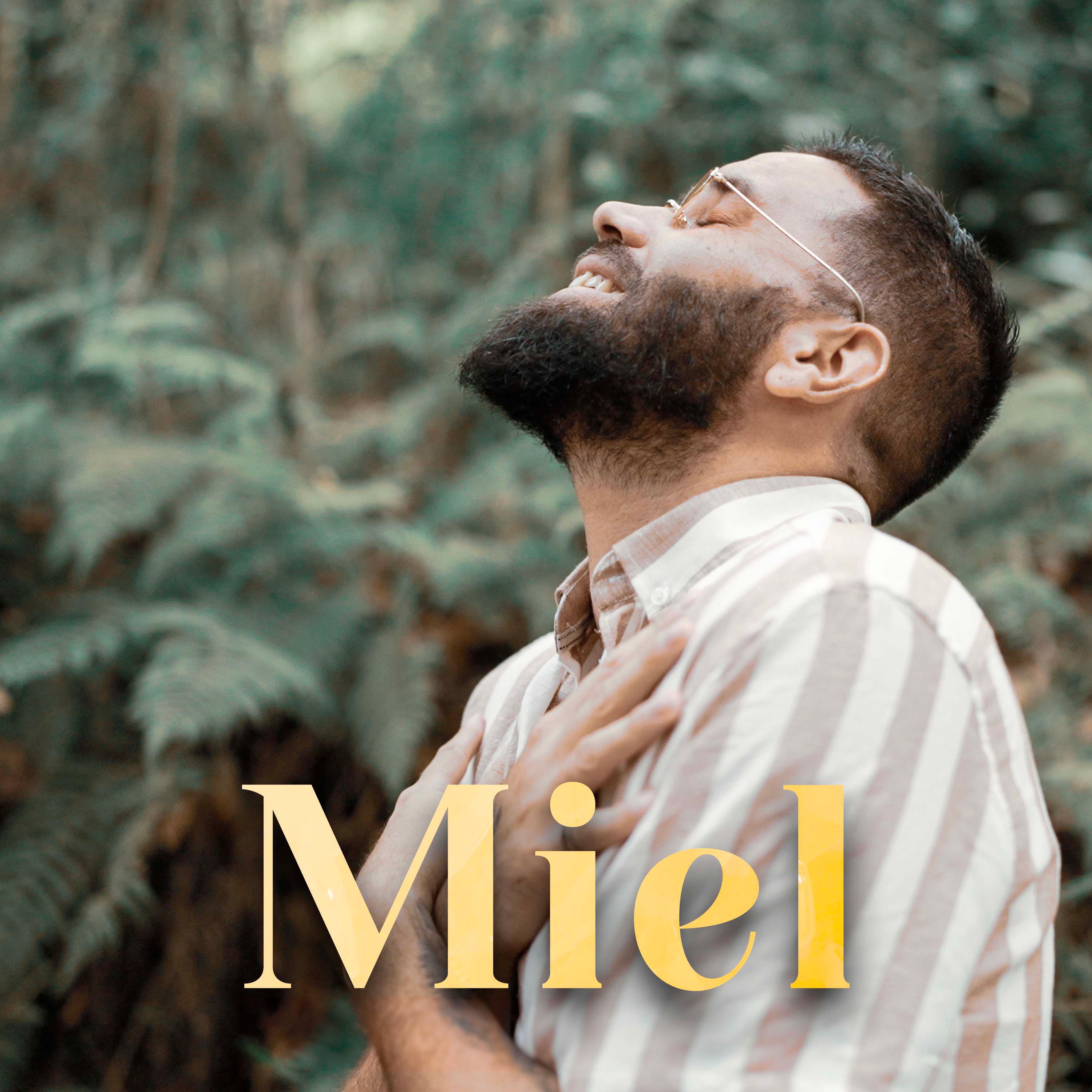 Постер альбома Miel