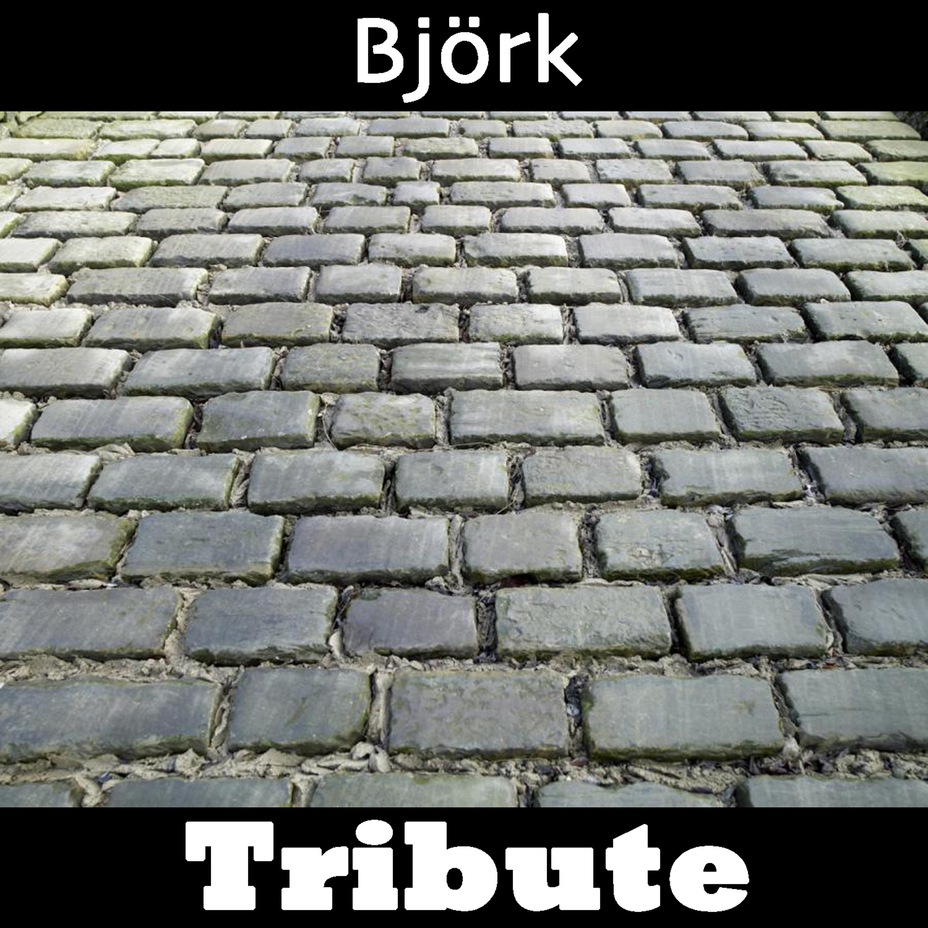 Постер альбома Human Behaviour: Tribute To Bjork