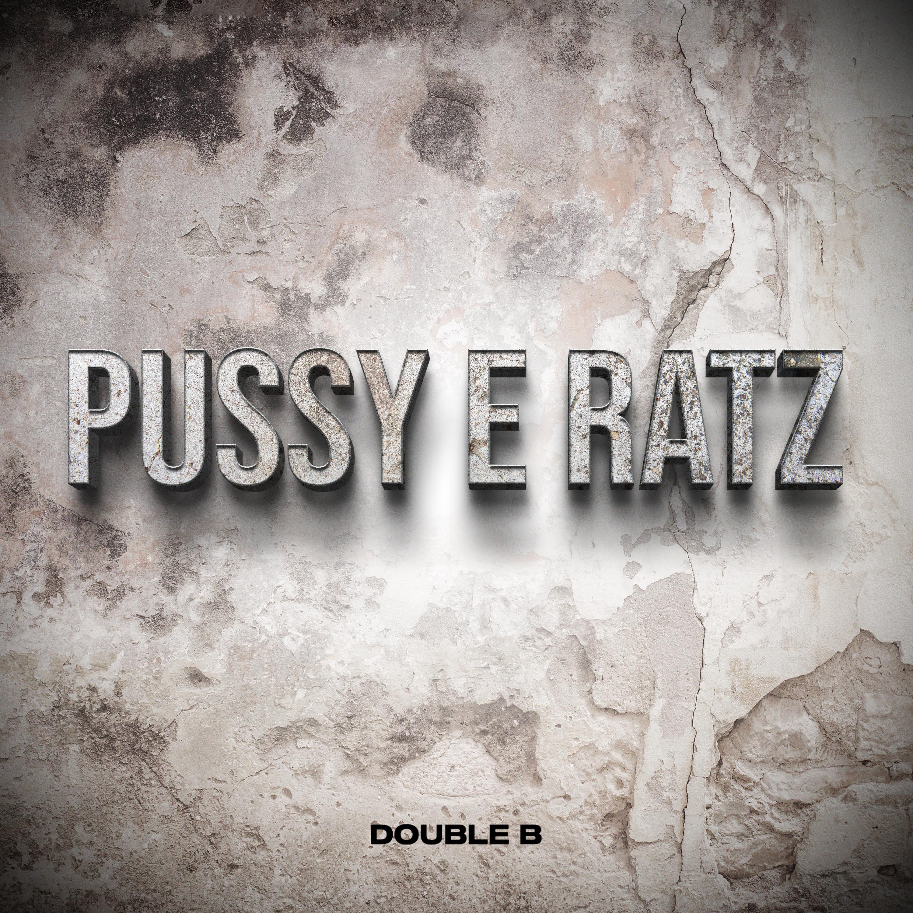 Постер альбома Pussy e Ratz