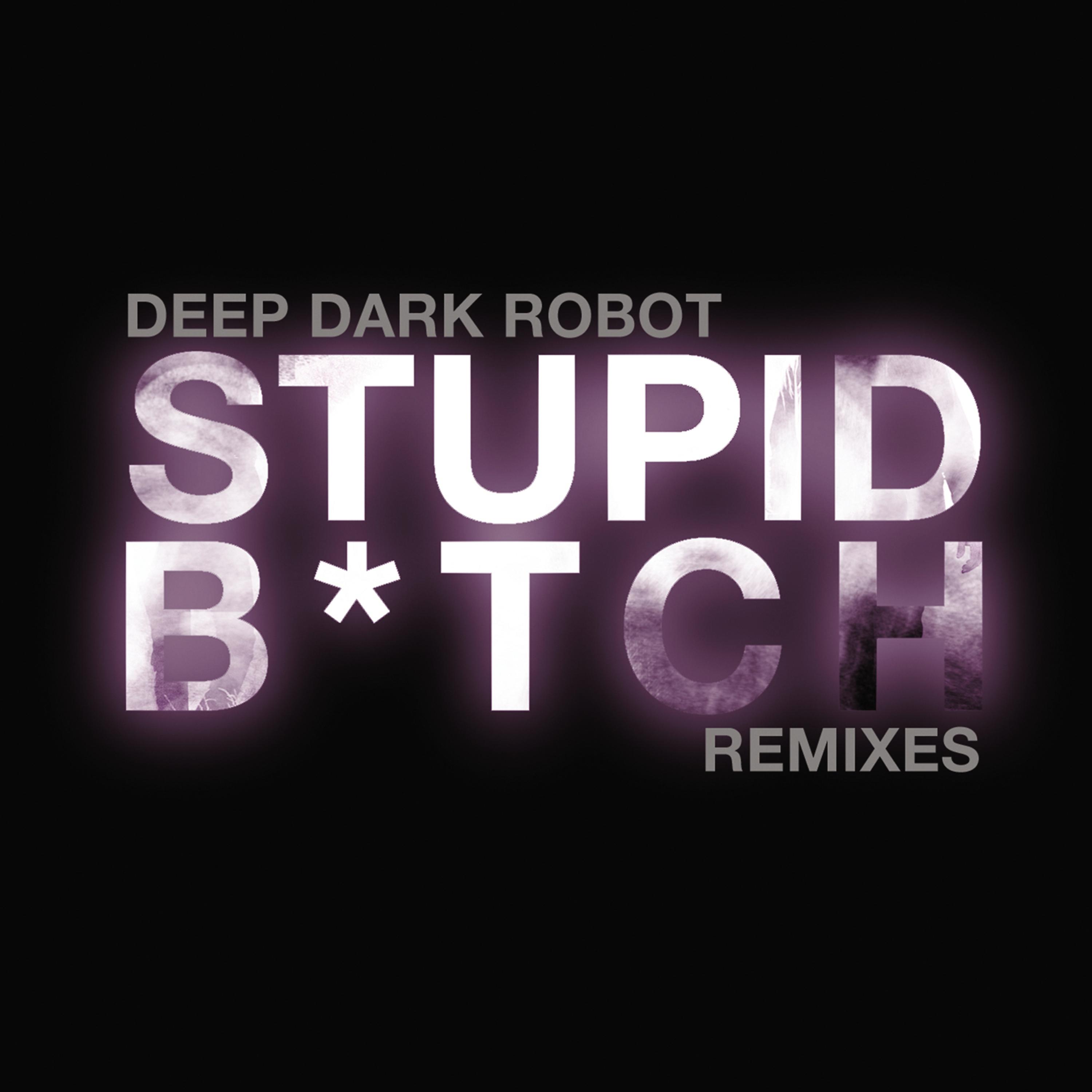 Постер альбома Stupid Bitch (Remixes)