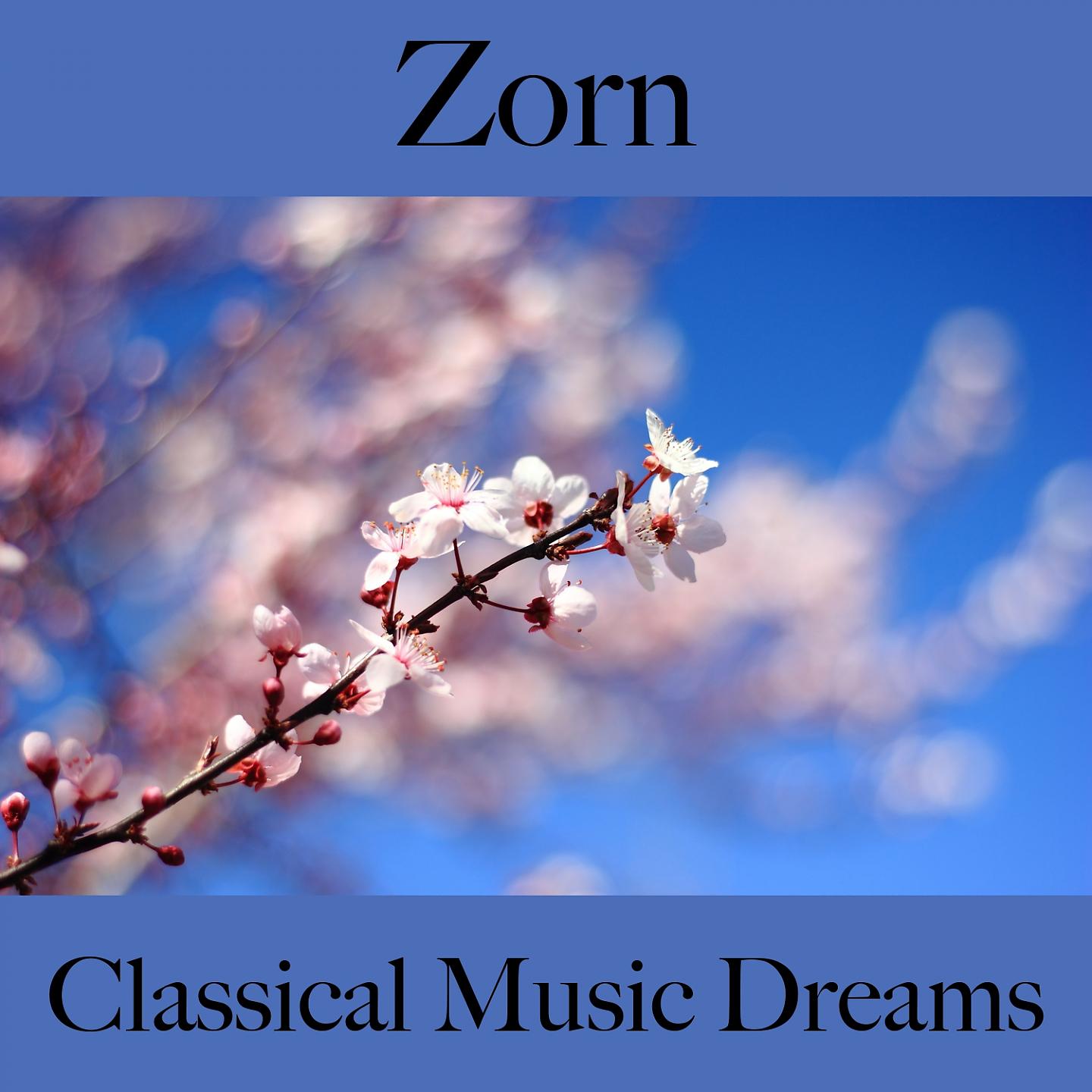 Постер альбома Zorn: Classical Music Dreams - Die Beste Musik Um Sich Besser Zu Fühlen