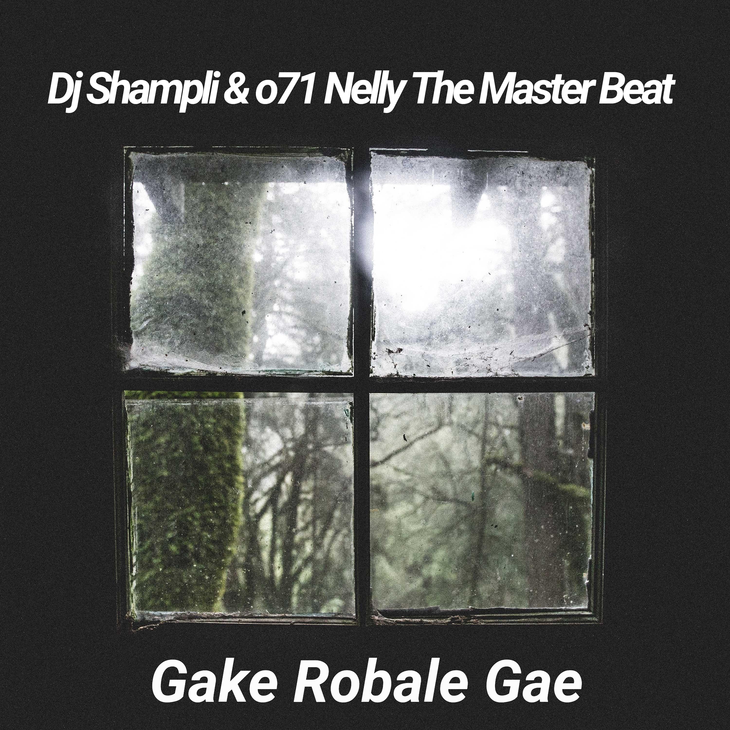 Постер альбома Gake Robale Gae