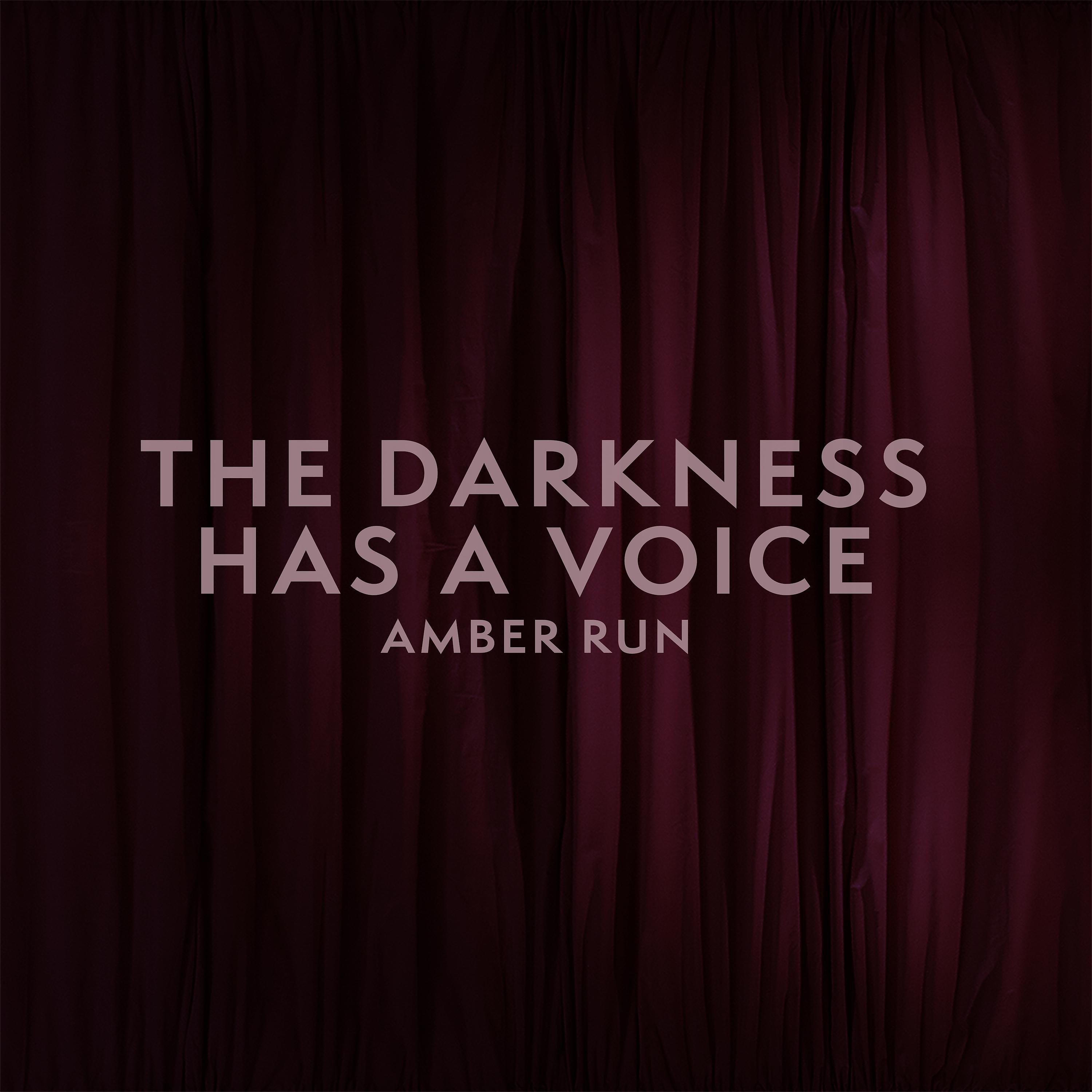 Постер альбома The Darkness Has a Voice