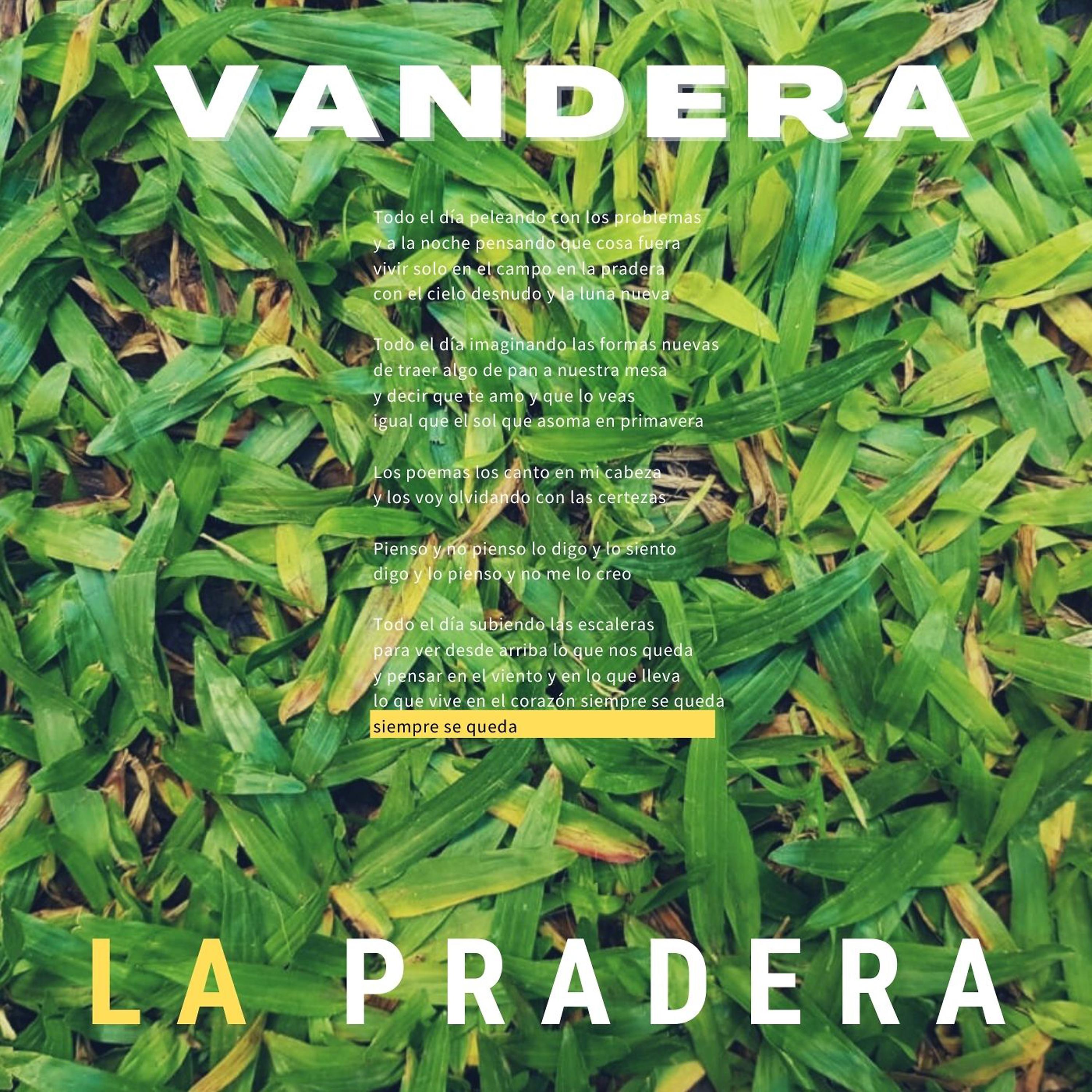 Постер альбома La Pradera