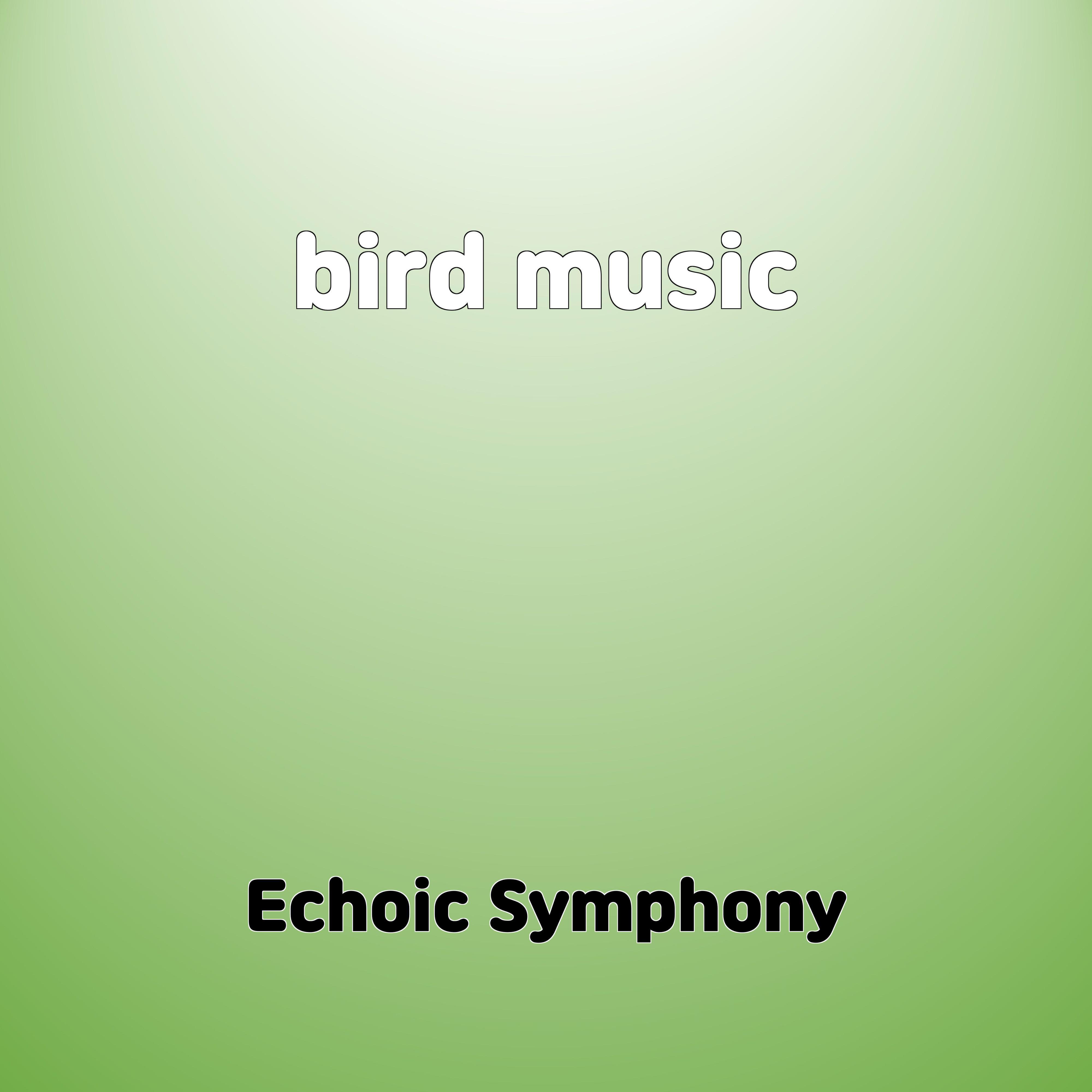 Постер альбома bird music