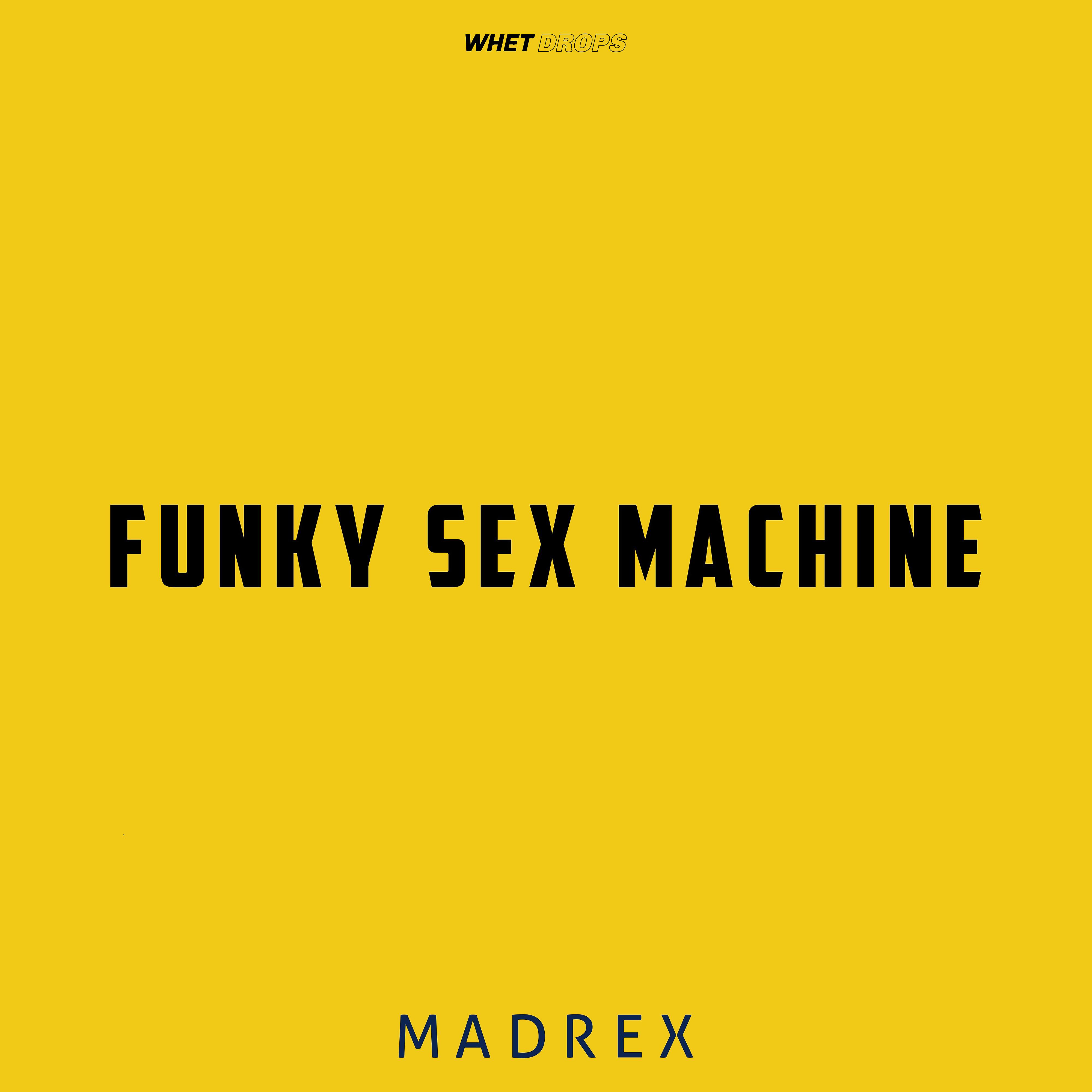 Постер альбома Funky Sex Machine