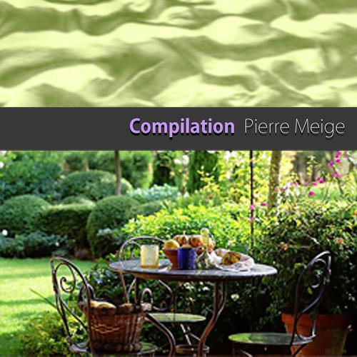 Постер альбома Pierre Meige