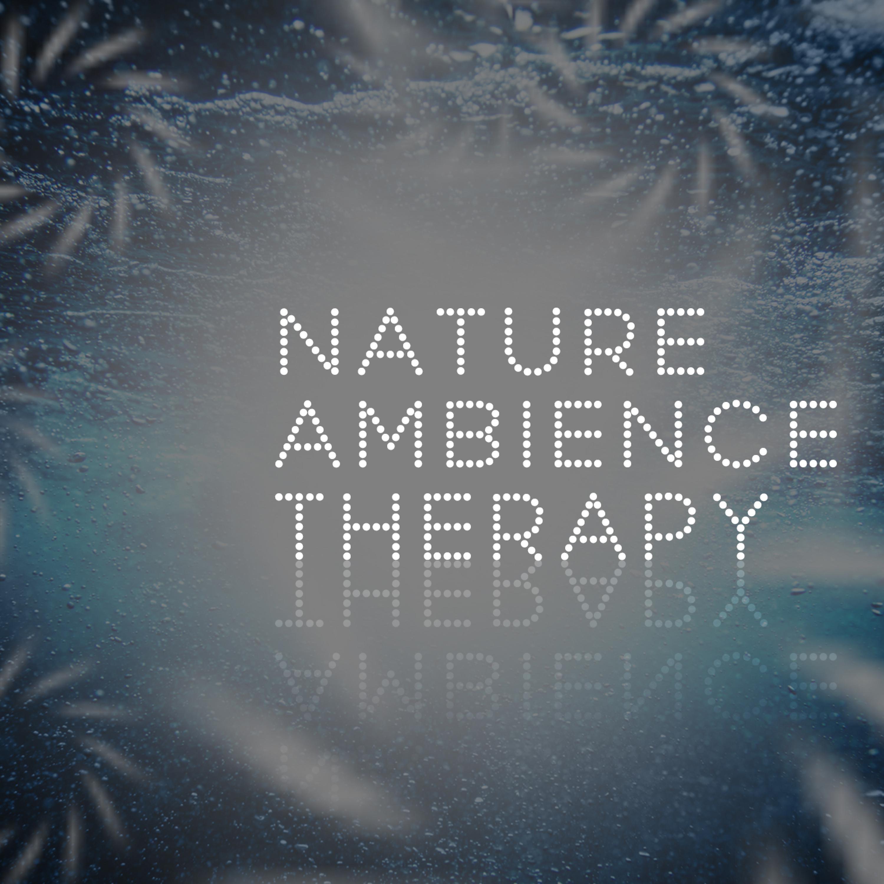 Постер альбома Nature Ambience Therapy