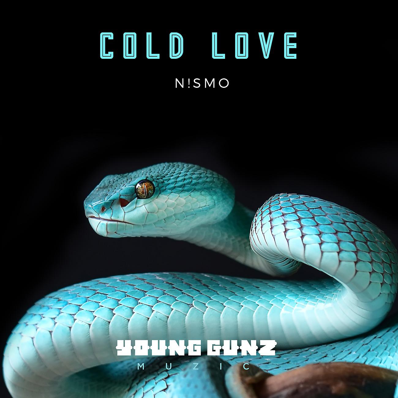 Постер альбома Cold Love