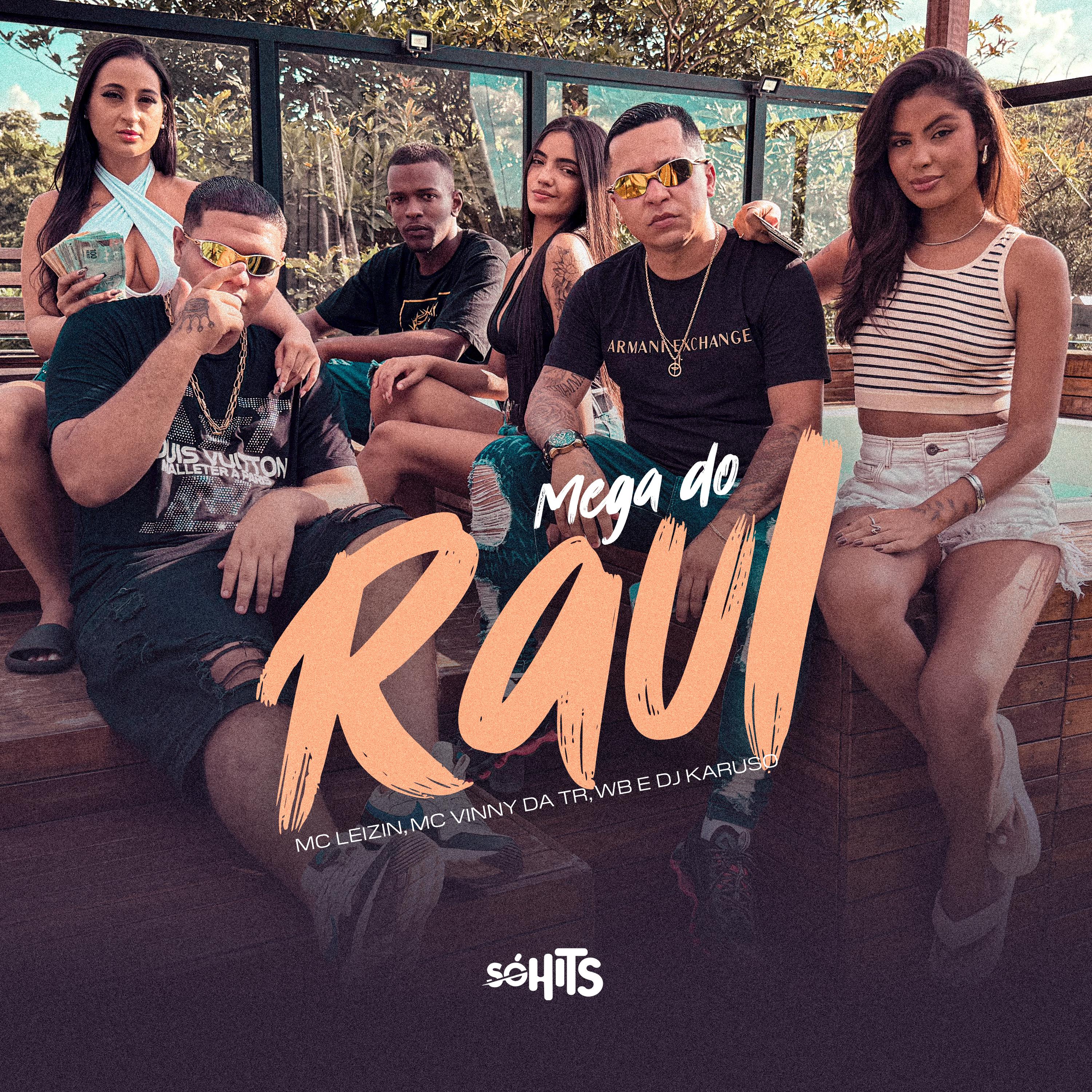 Постер альбома Mega Dos Raul