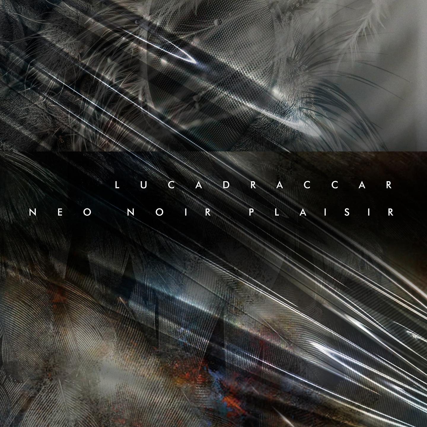 Постер альбома Neo Noir Plaisir