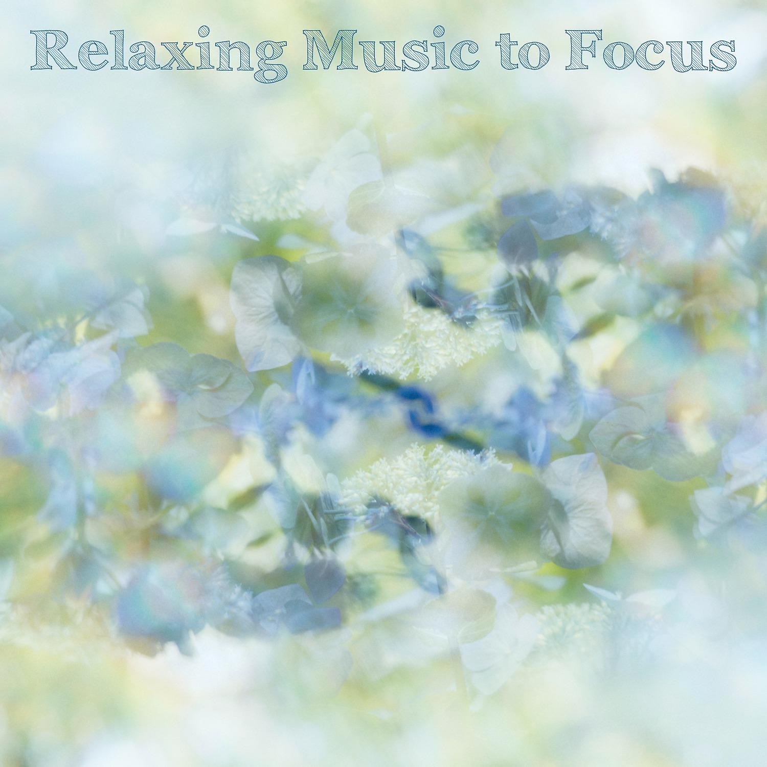 Постер альбома Relaxing Music to Focus