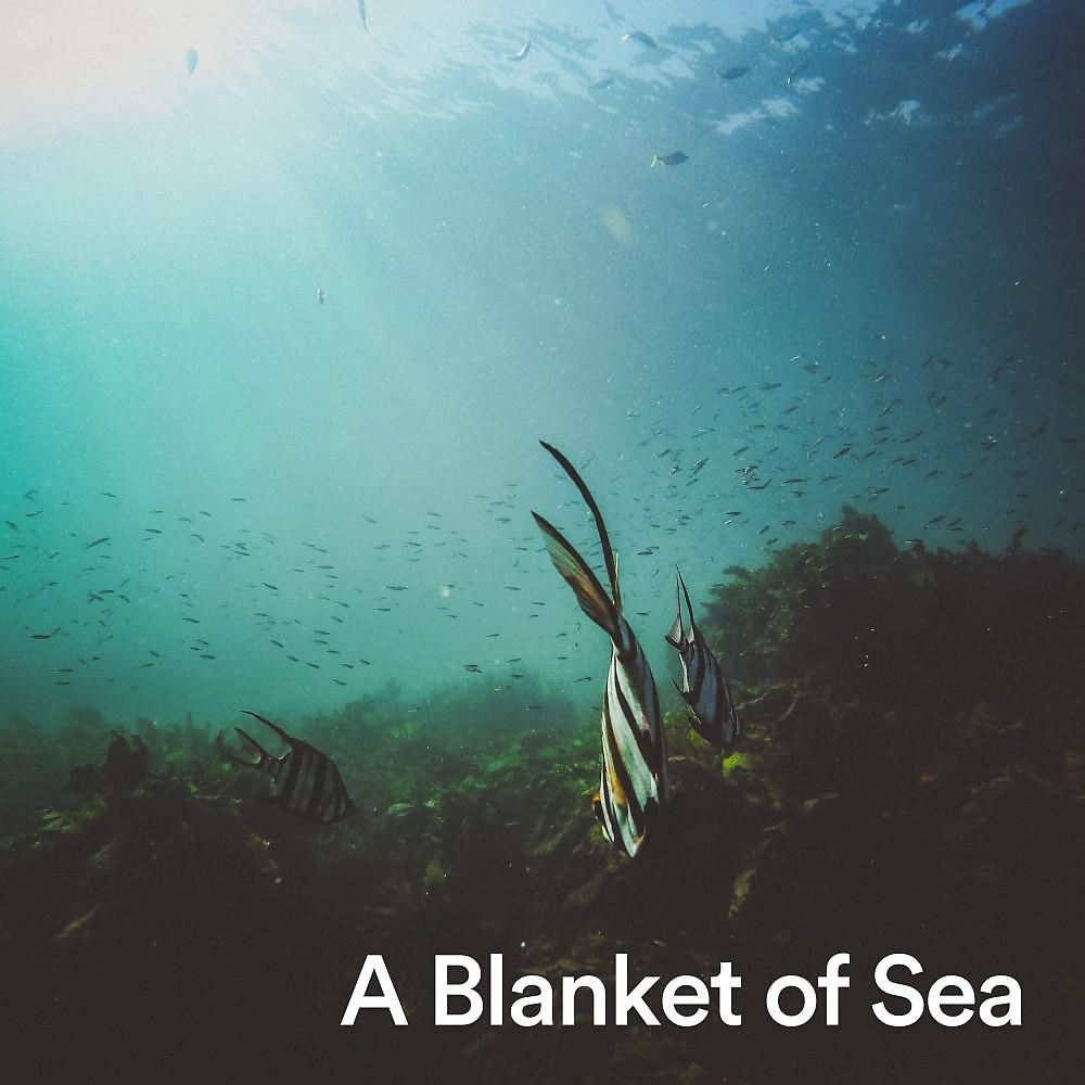 Постер альбома A Blanket of Sea