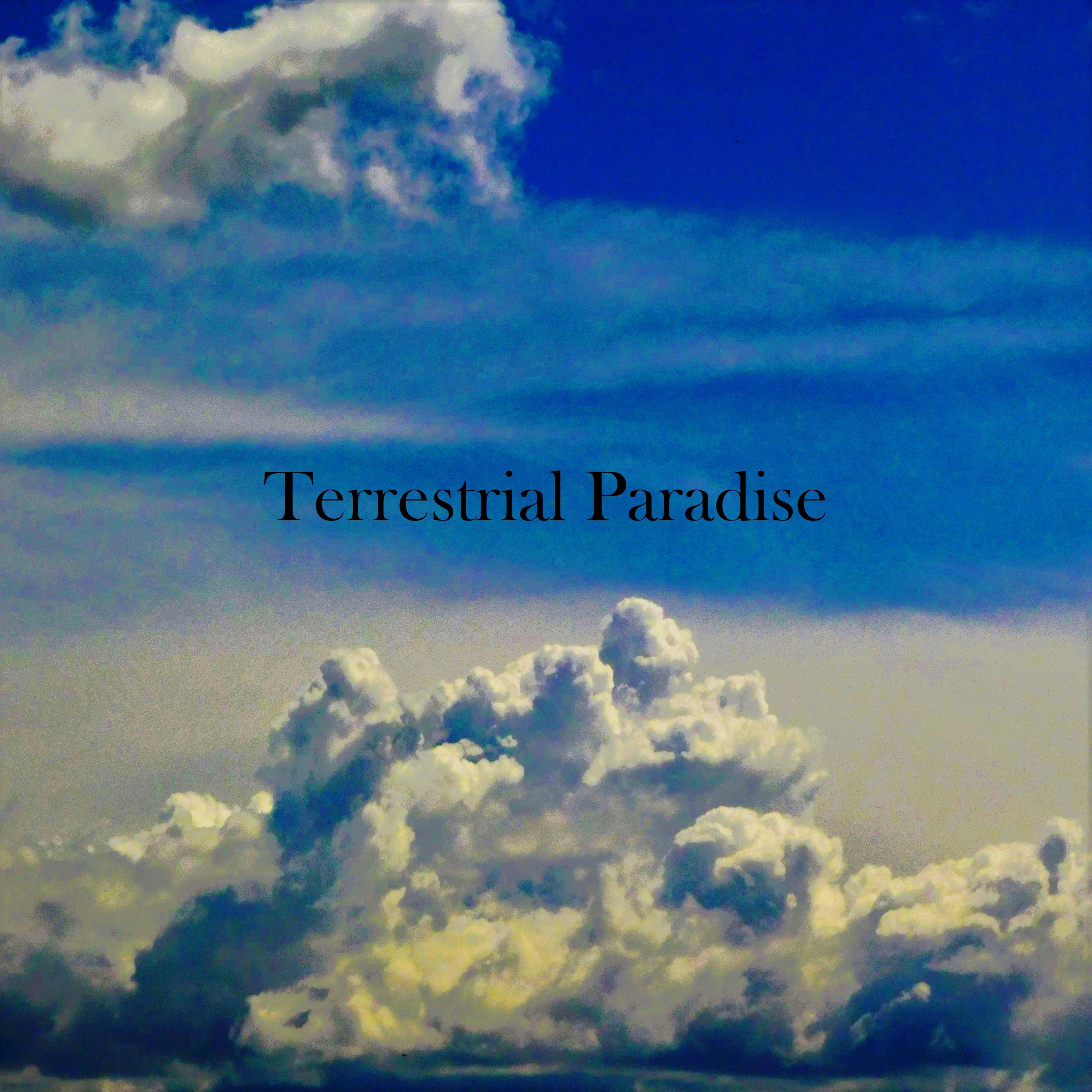 Постер альбома Terrestrial Paradise