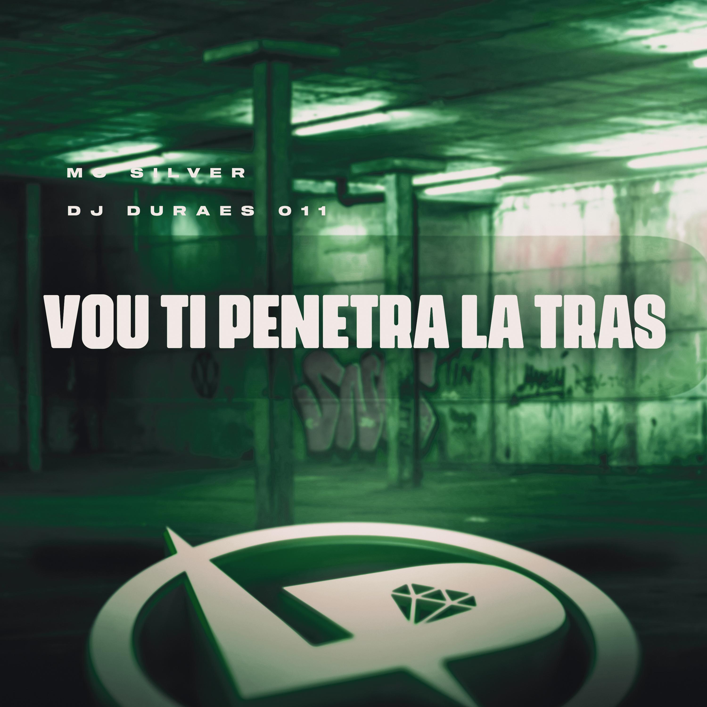 Постер альбома Vou Ti Penetra Lá Trás