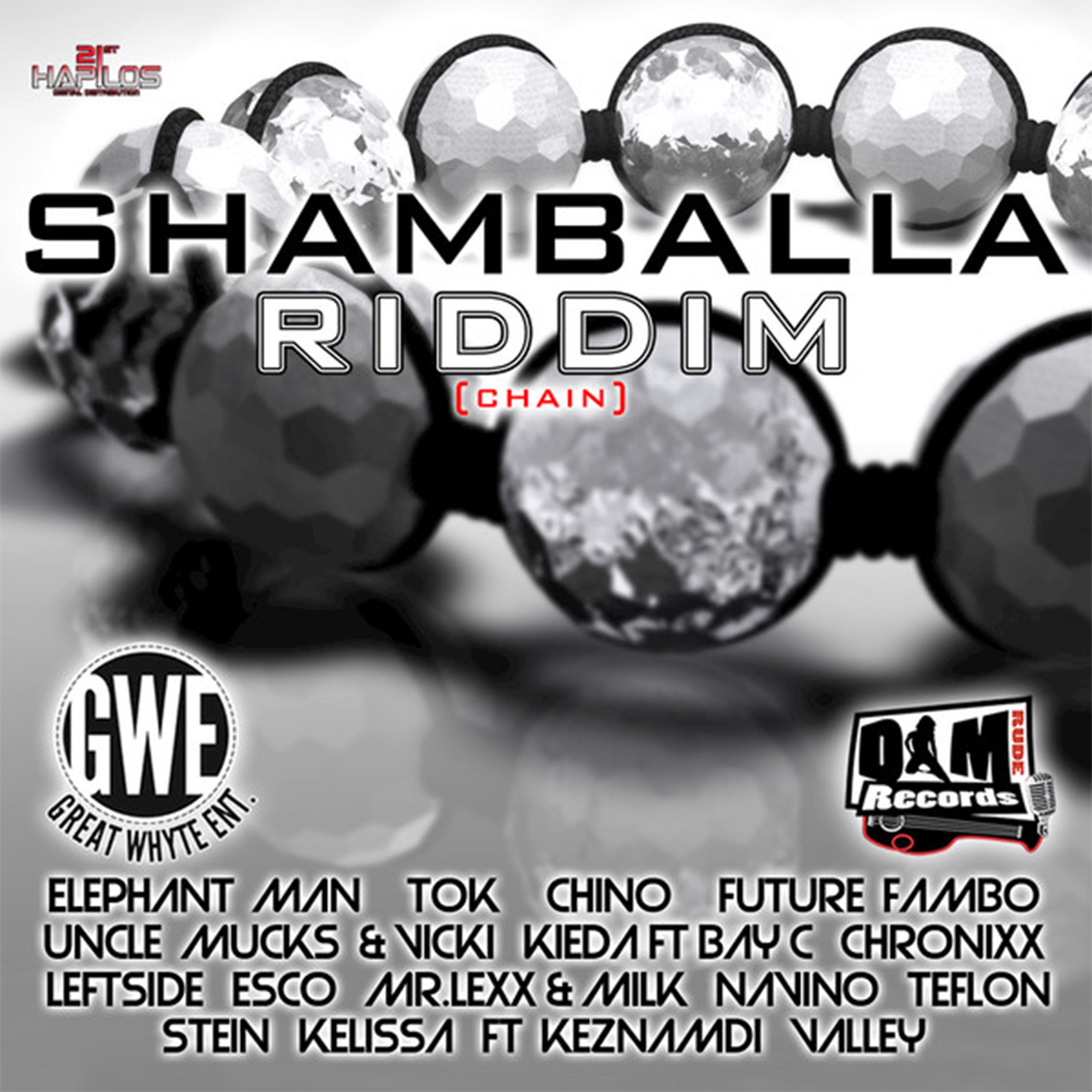 Постер альбома Shamballa Riddim - Chain
