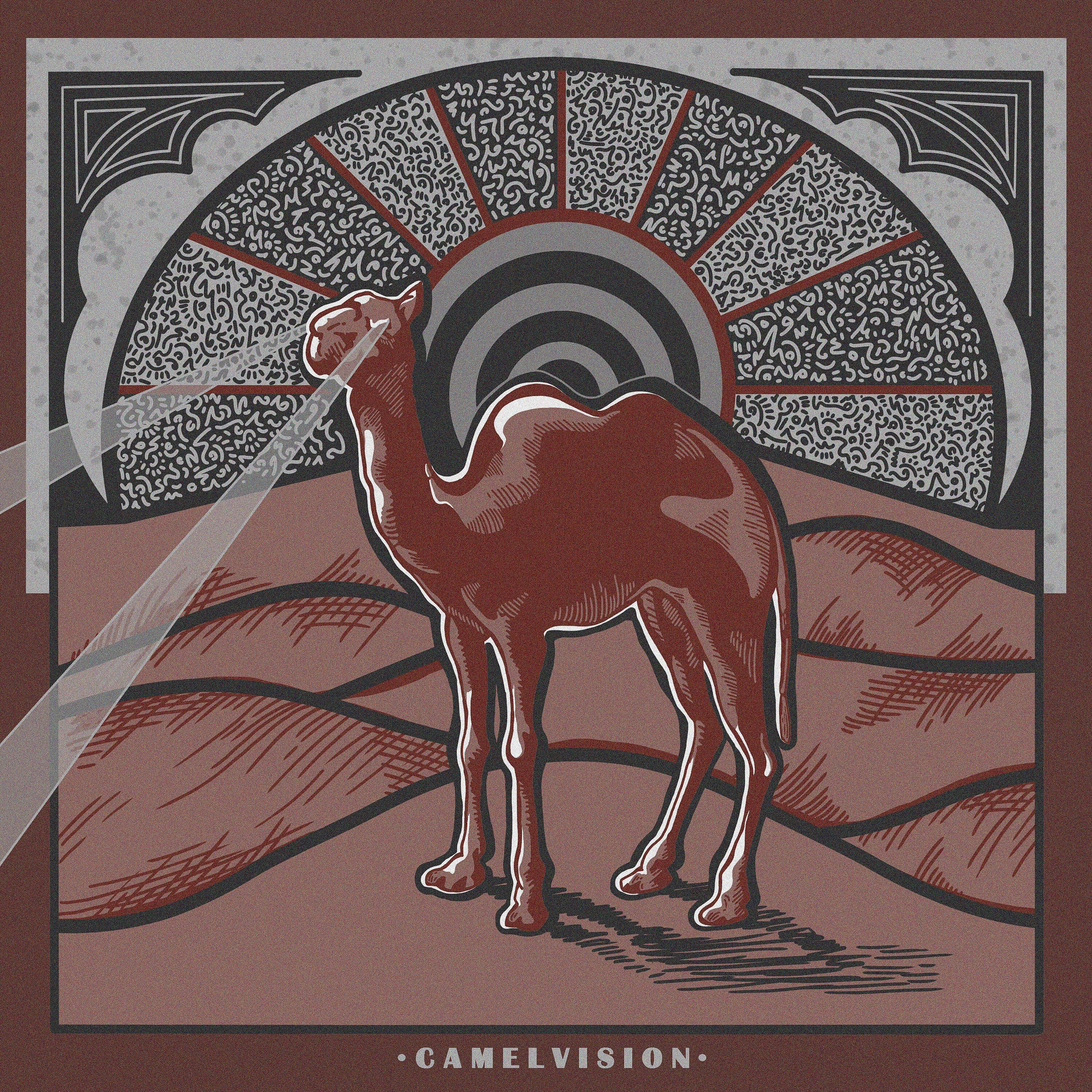 Постер альбома Camel Vision
