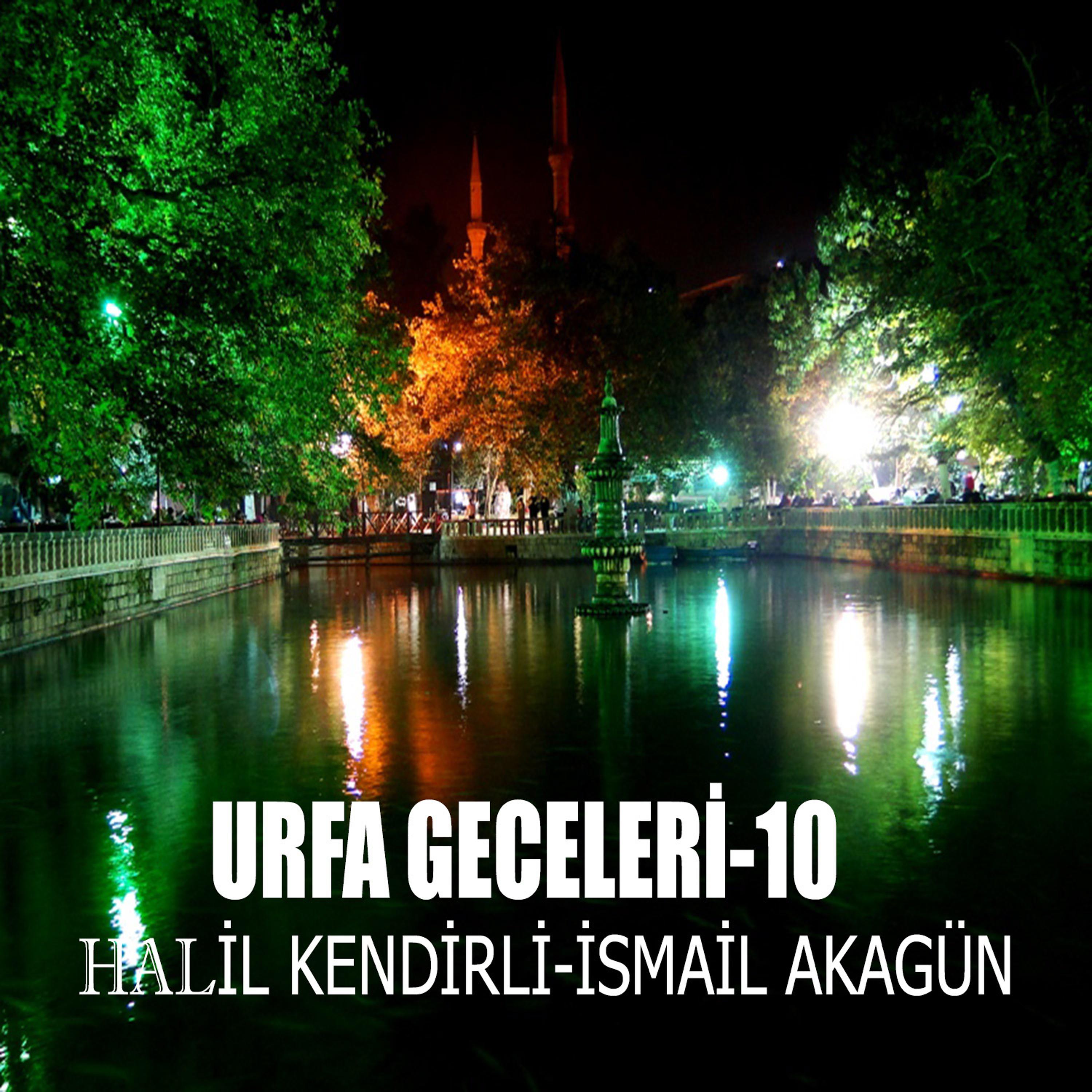Постер альбома Urfa Geceleri-10