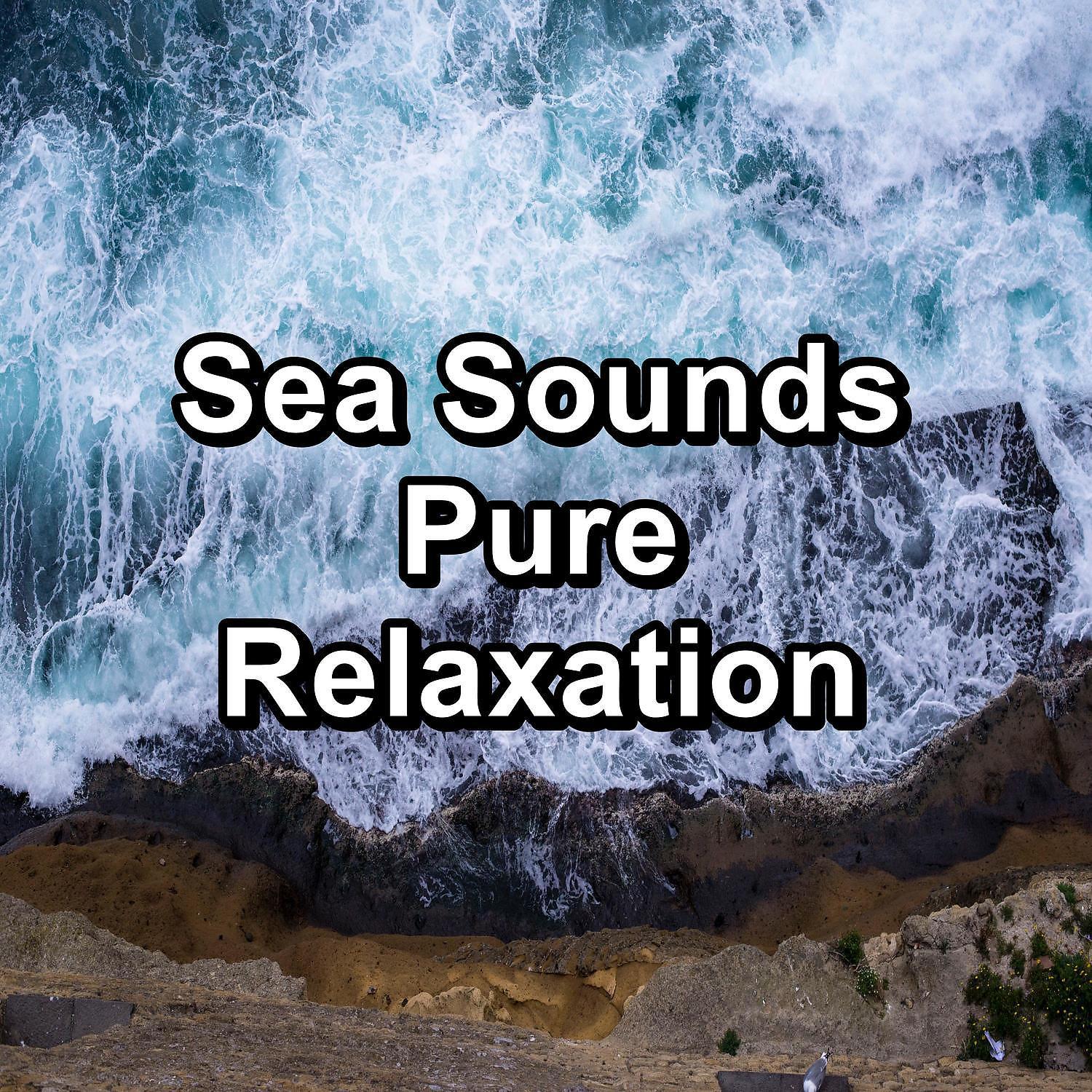 Постер альбома Sea Sounds Pure Relaxation