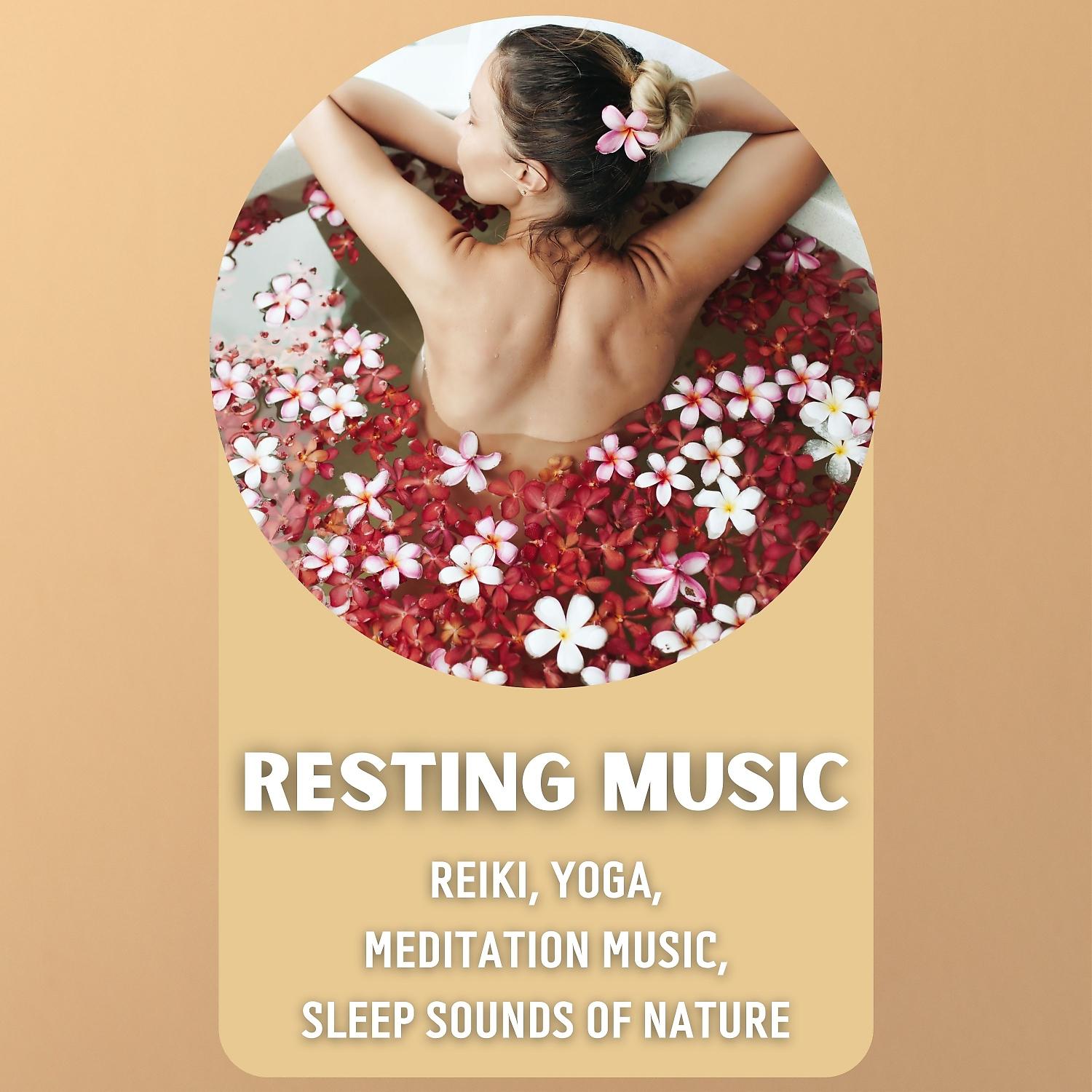 Постер альбома Resting Music