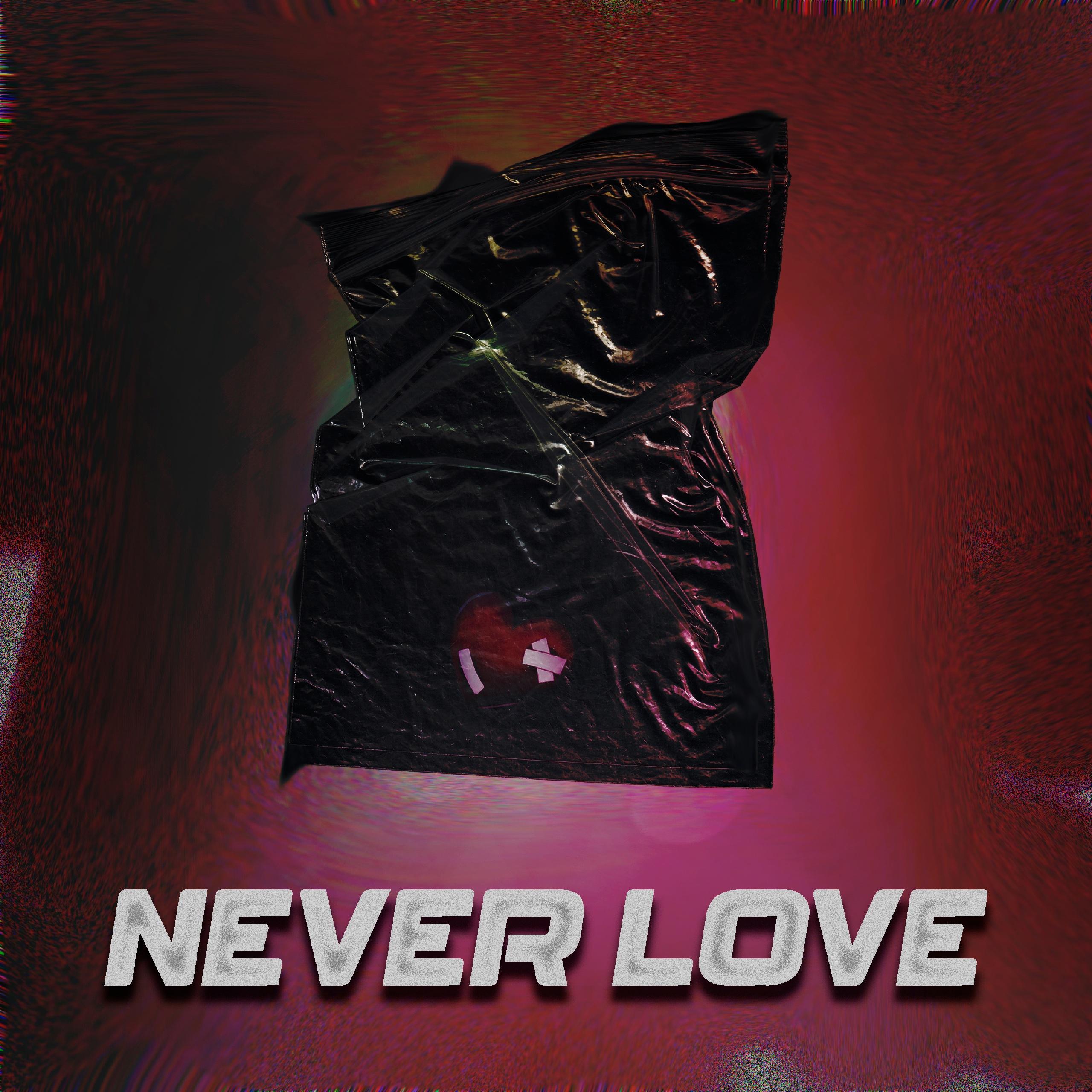 Постер альбома Never love