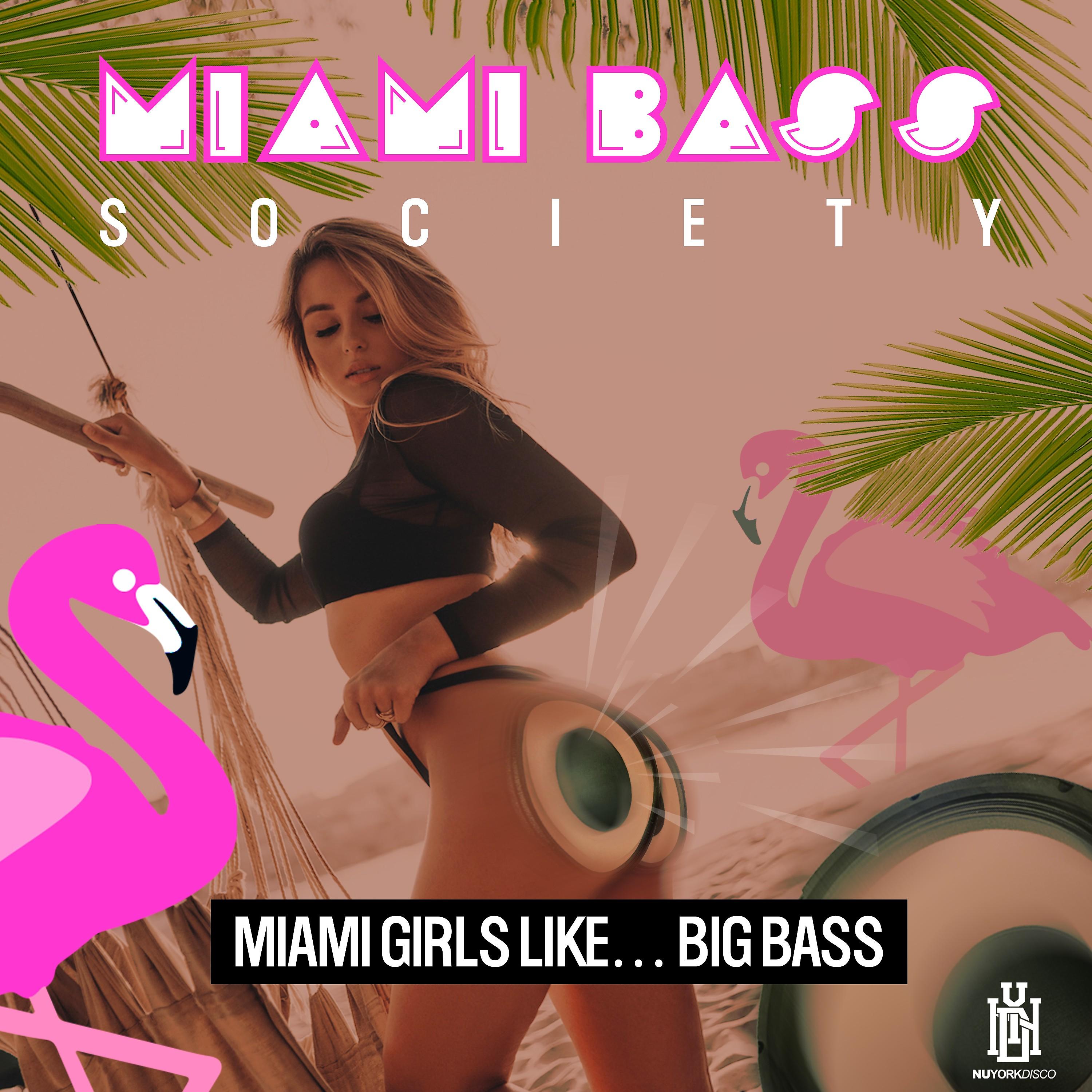 Постер альбома Miami Girls Like… Big Bass