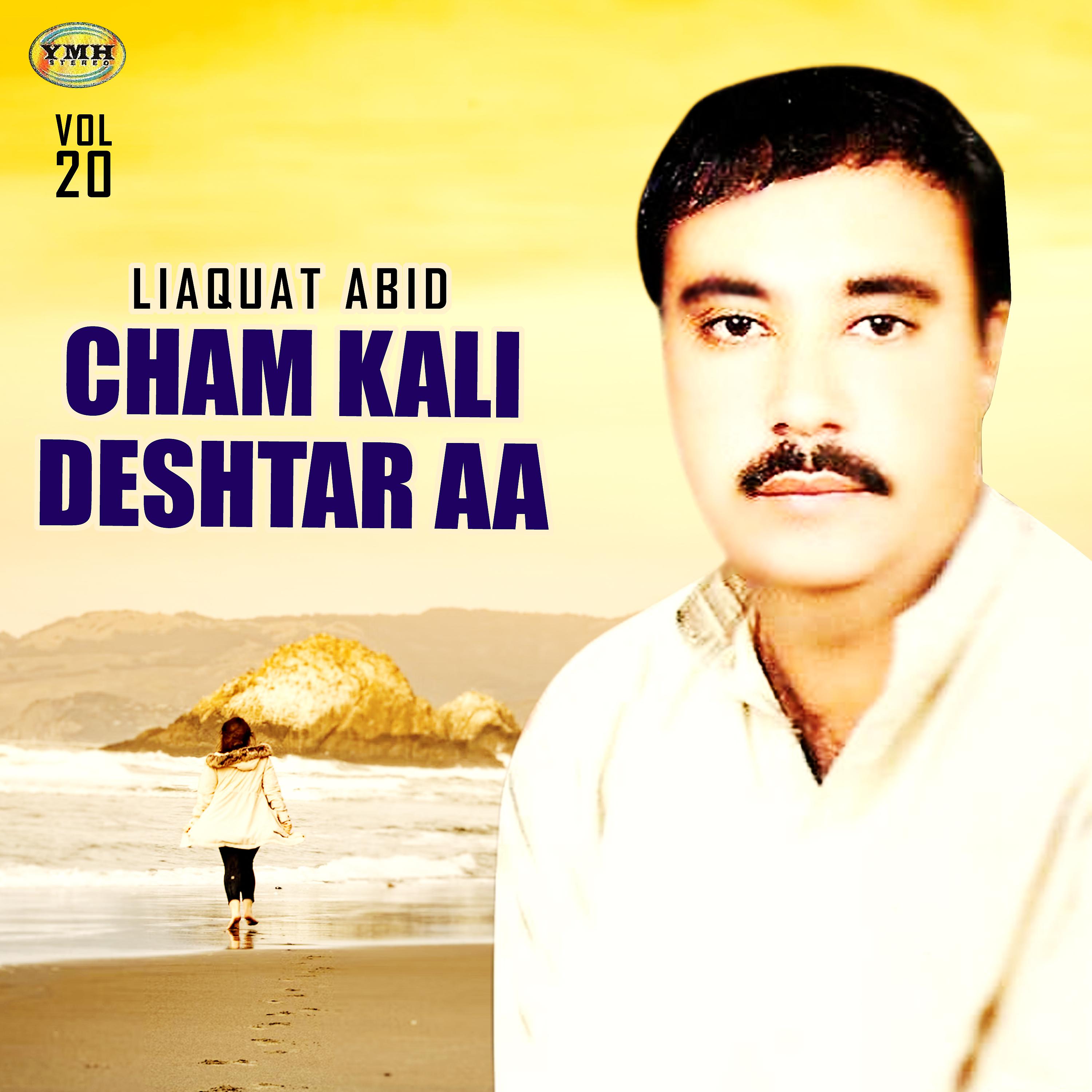 Постер альбома Cham Kali Deshtar Aa, Vol. 20