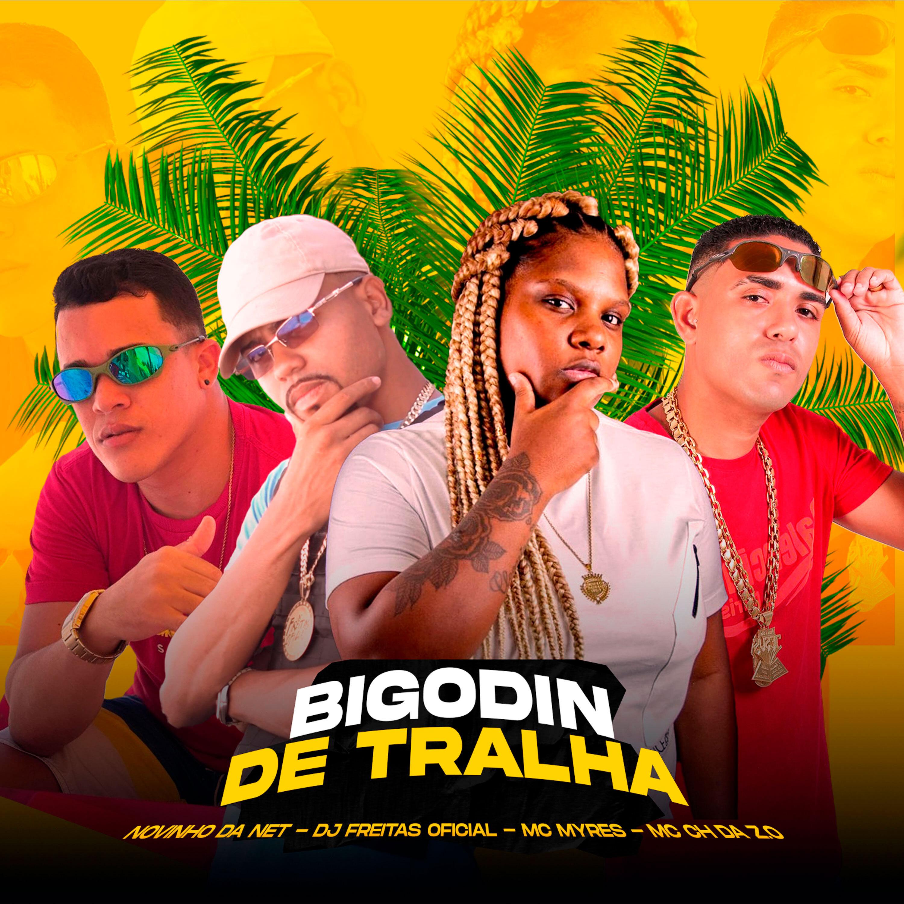 Постер альбома Bigodin de Tralha