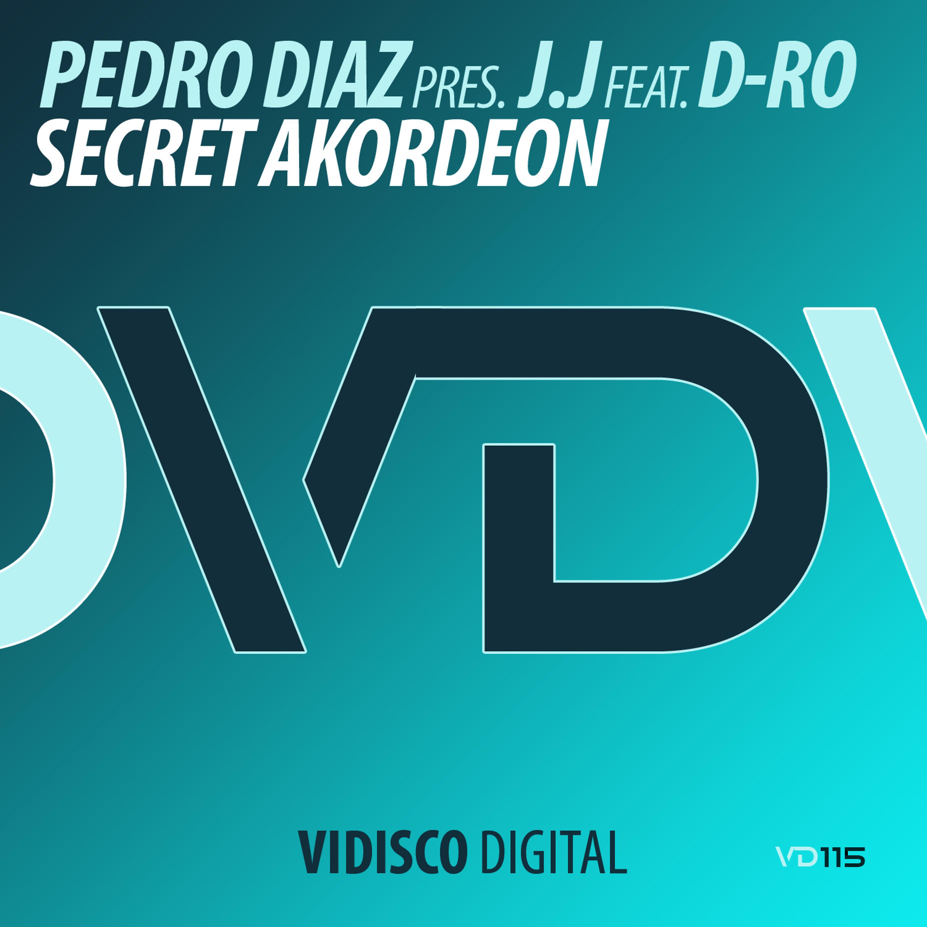 Постер альбома Secret Akordeon