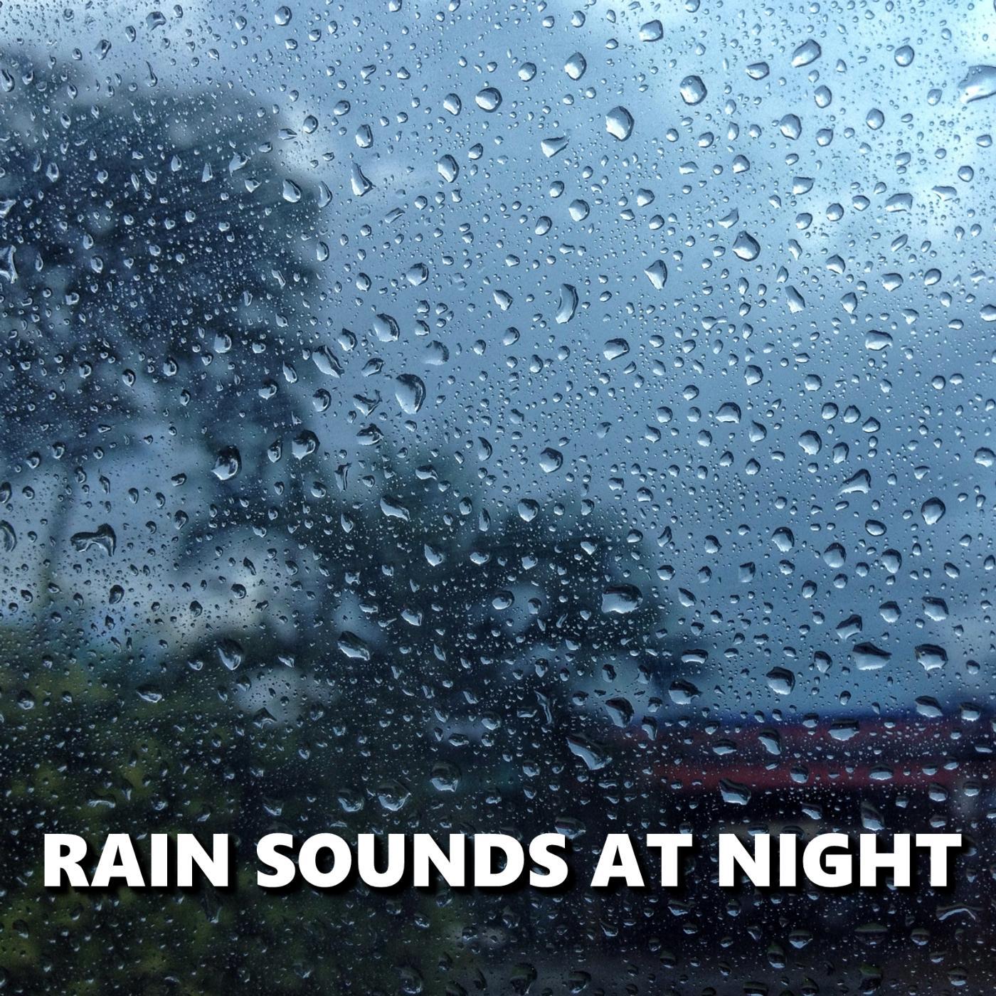 Постер альбома Rain Sounds at Night