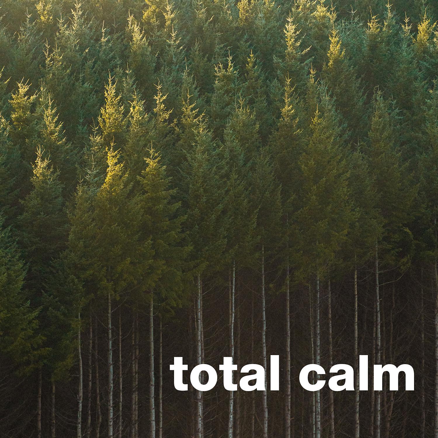 Постер альбома Total Calm