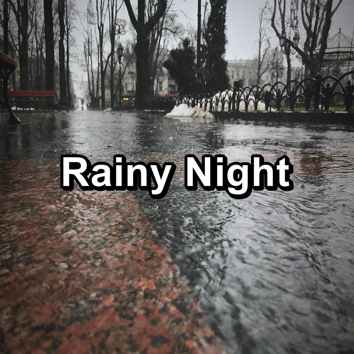 Постер альбома Rainy Night