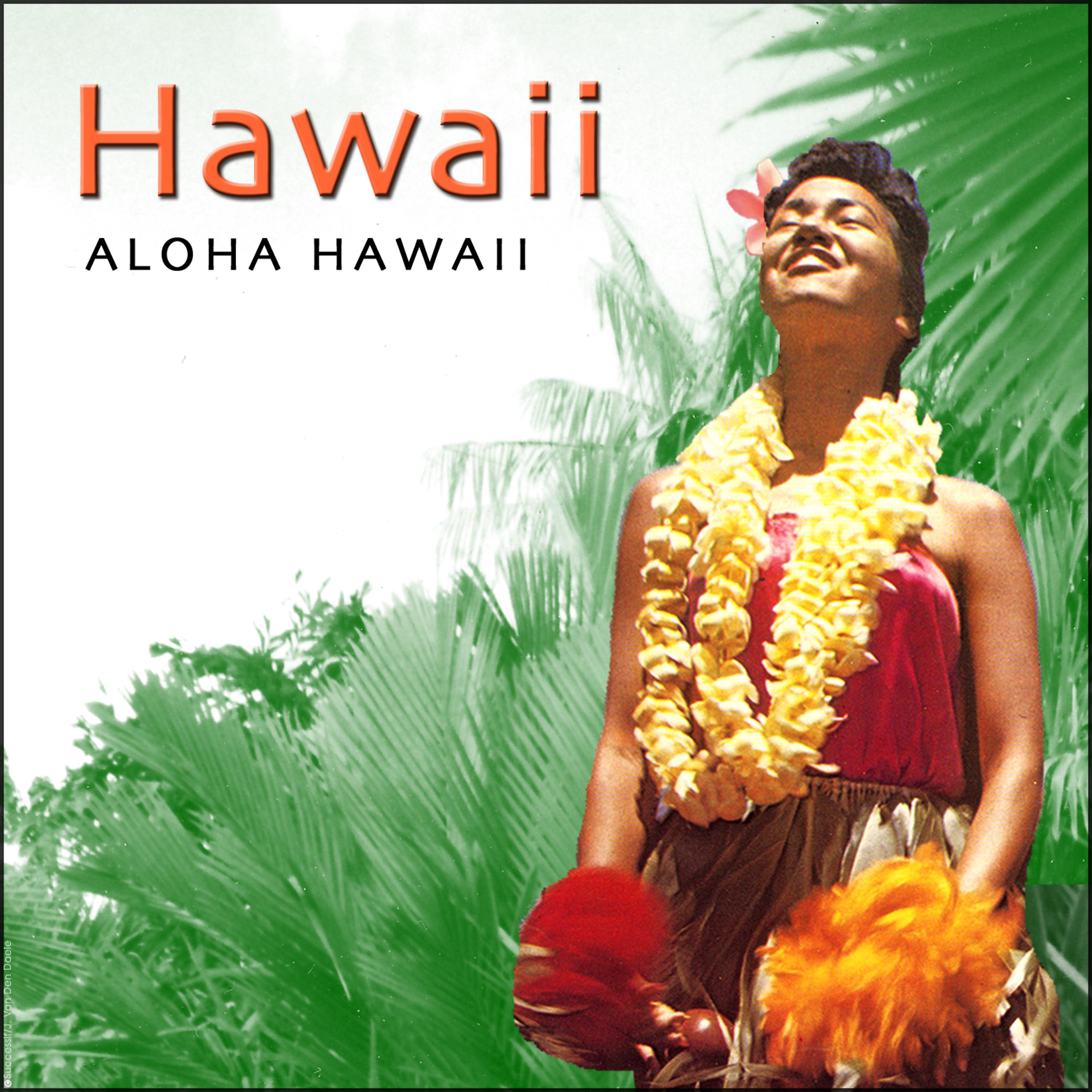 Постер альбома Aloha Hawaii - Hawaiian Guitar