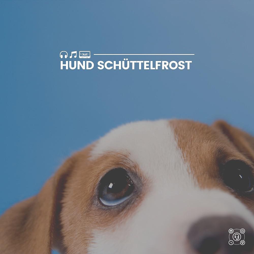 Постер альбома Hund Schüttelfrost