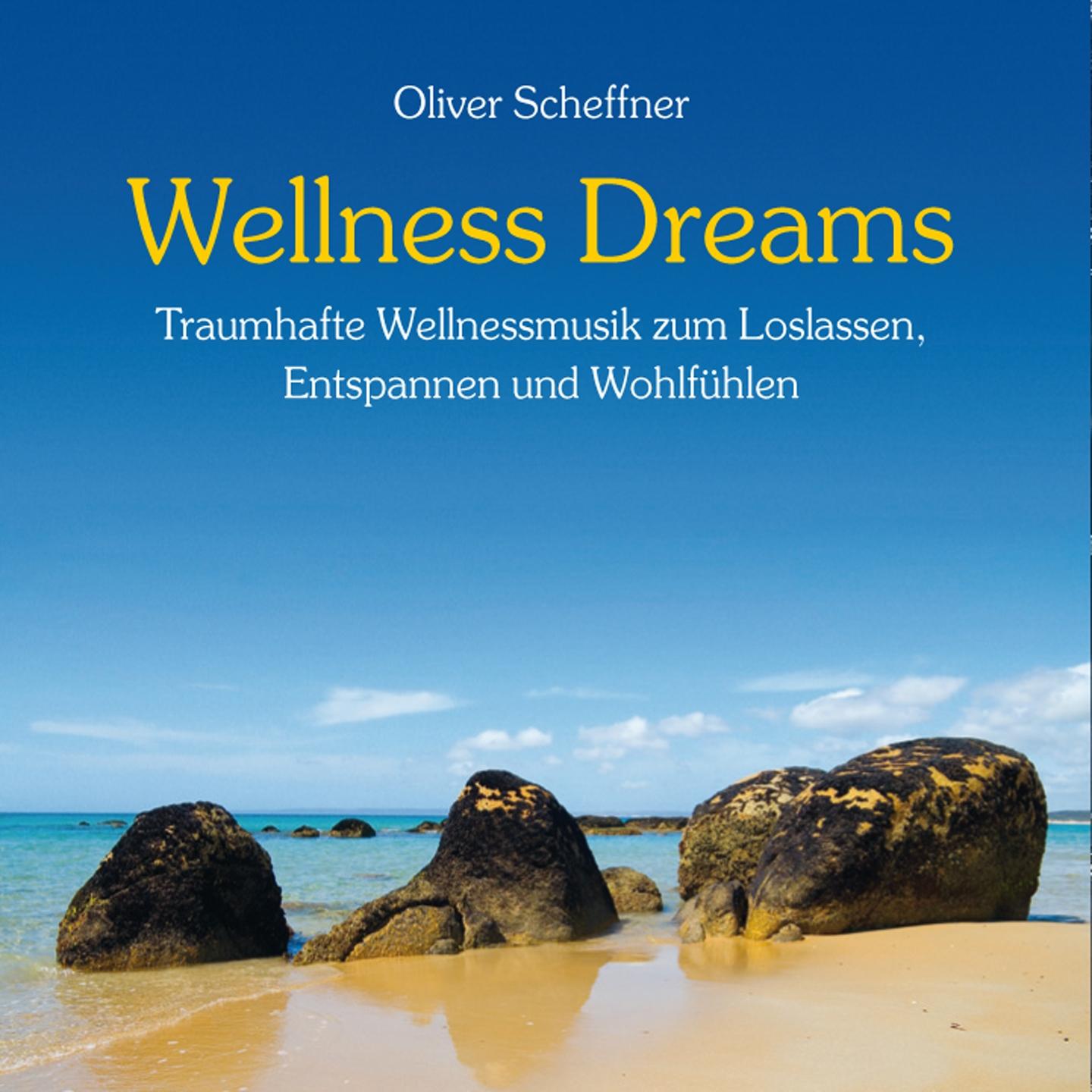 Постер альбома Wellness Dreams