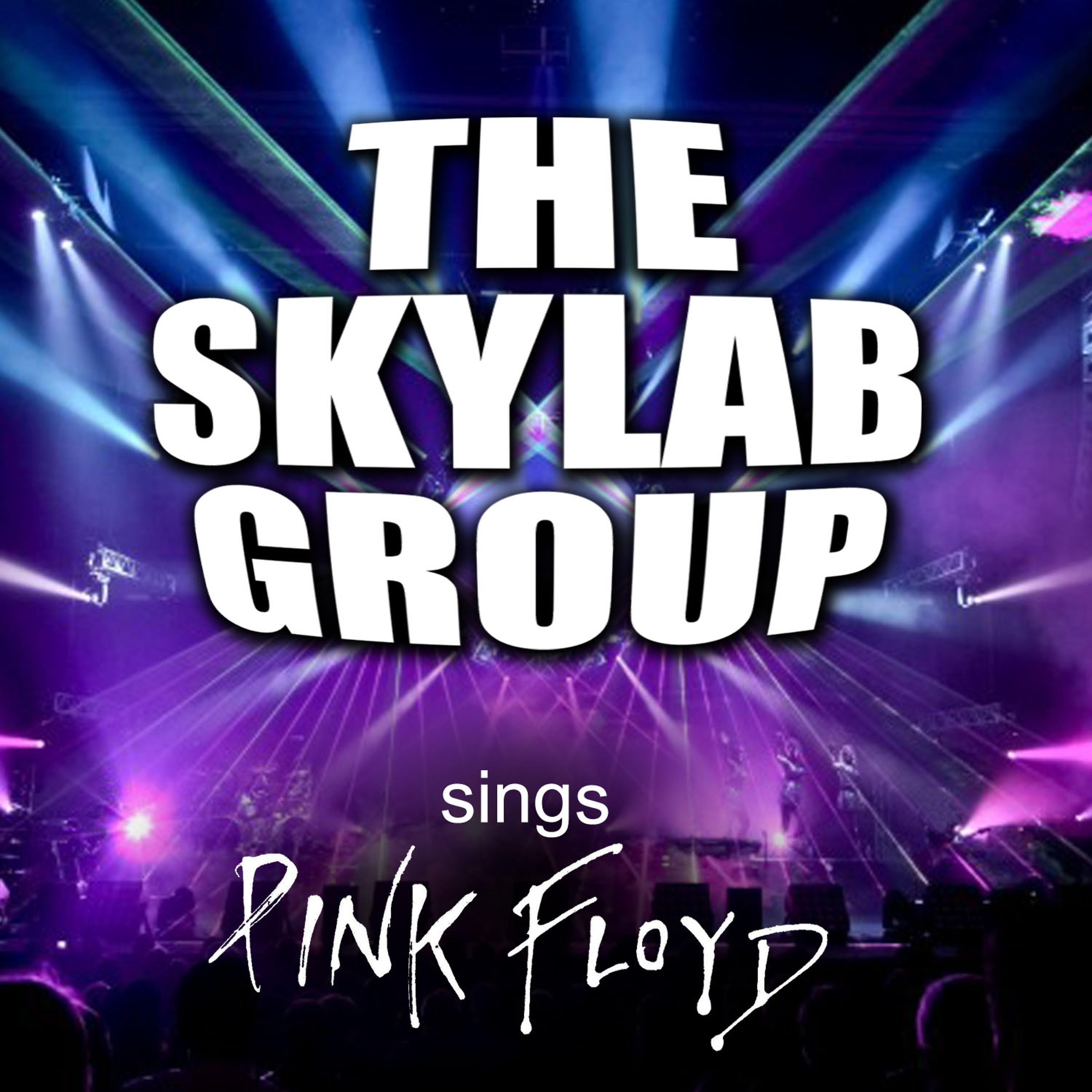 Постер альбома The Skylab Group Sings Pink Floyd