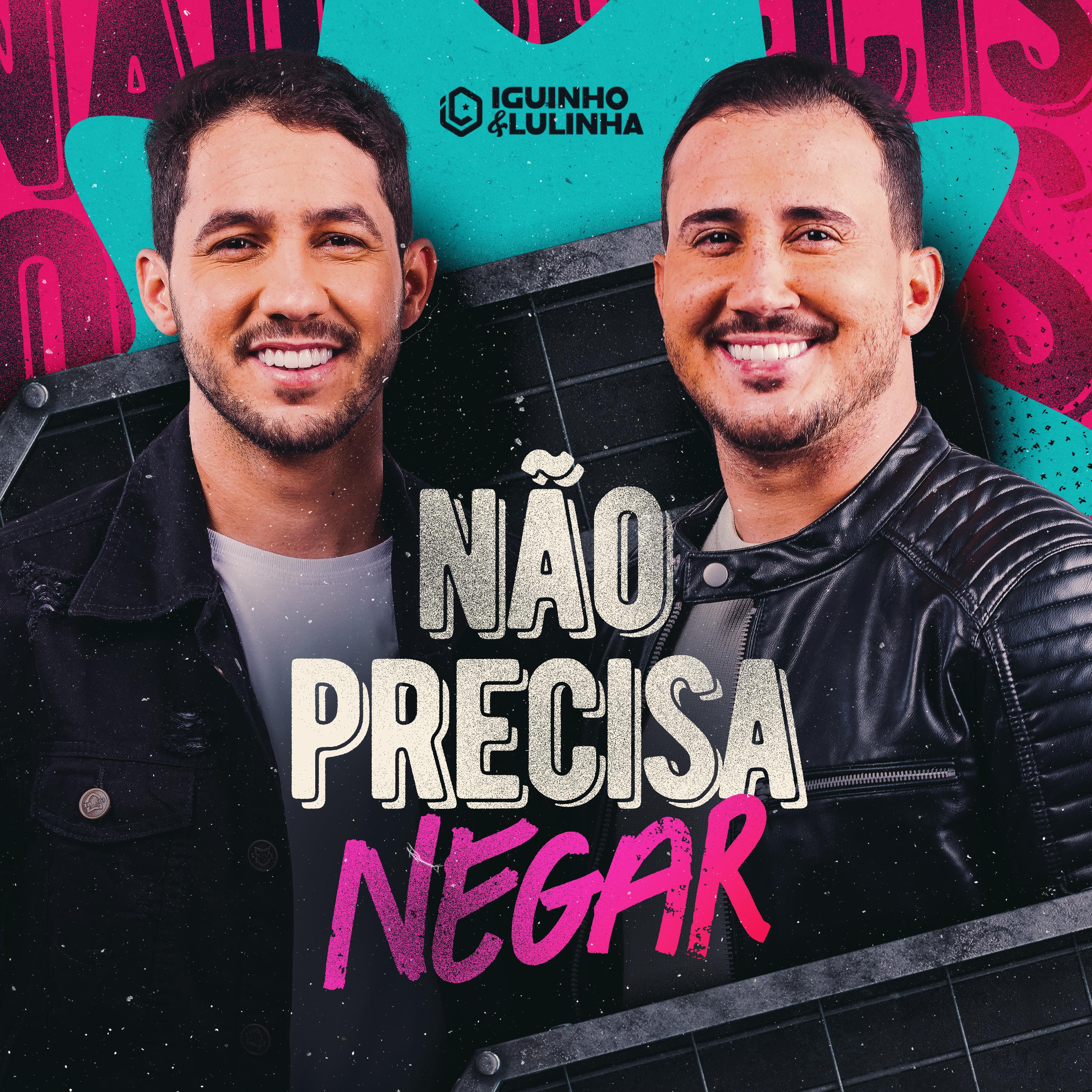 Постер альбома Não Precisa Negar