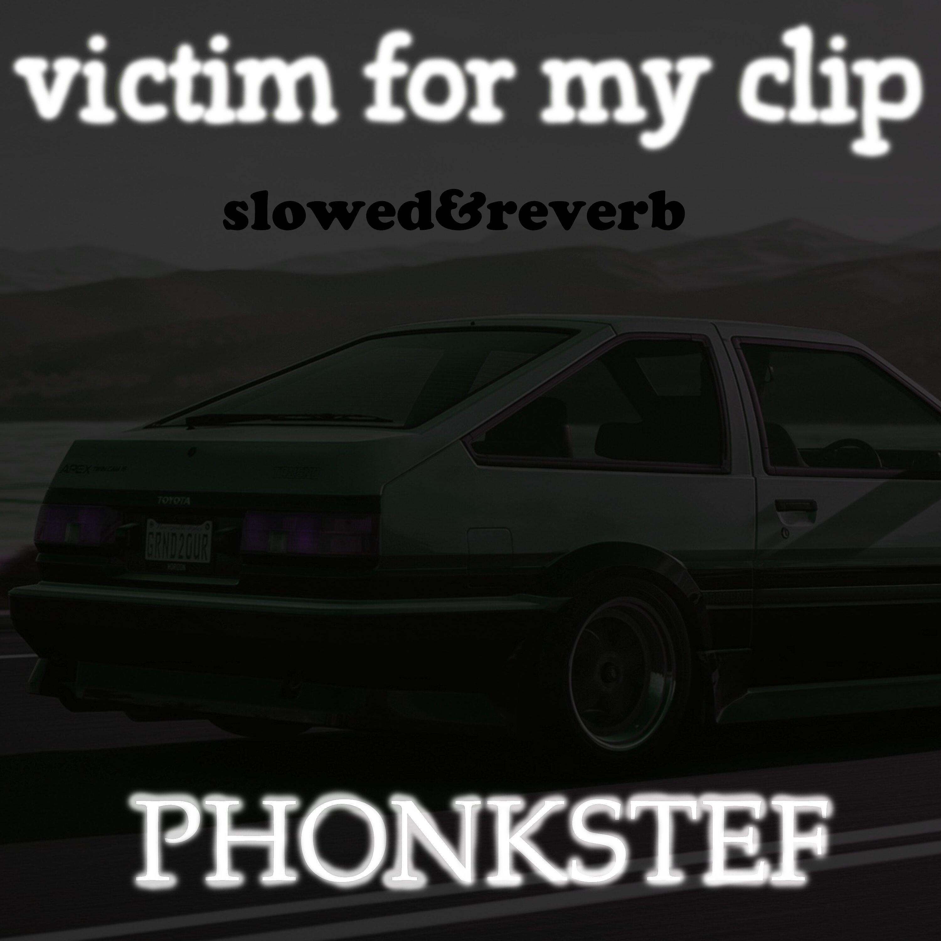 Постер альбома Victim for My Clip (Slowed and Reverb)