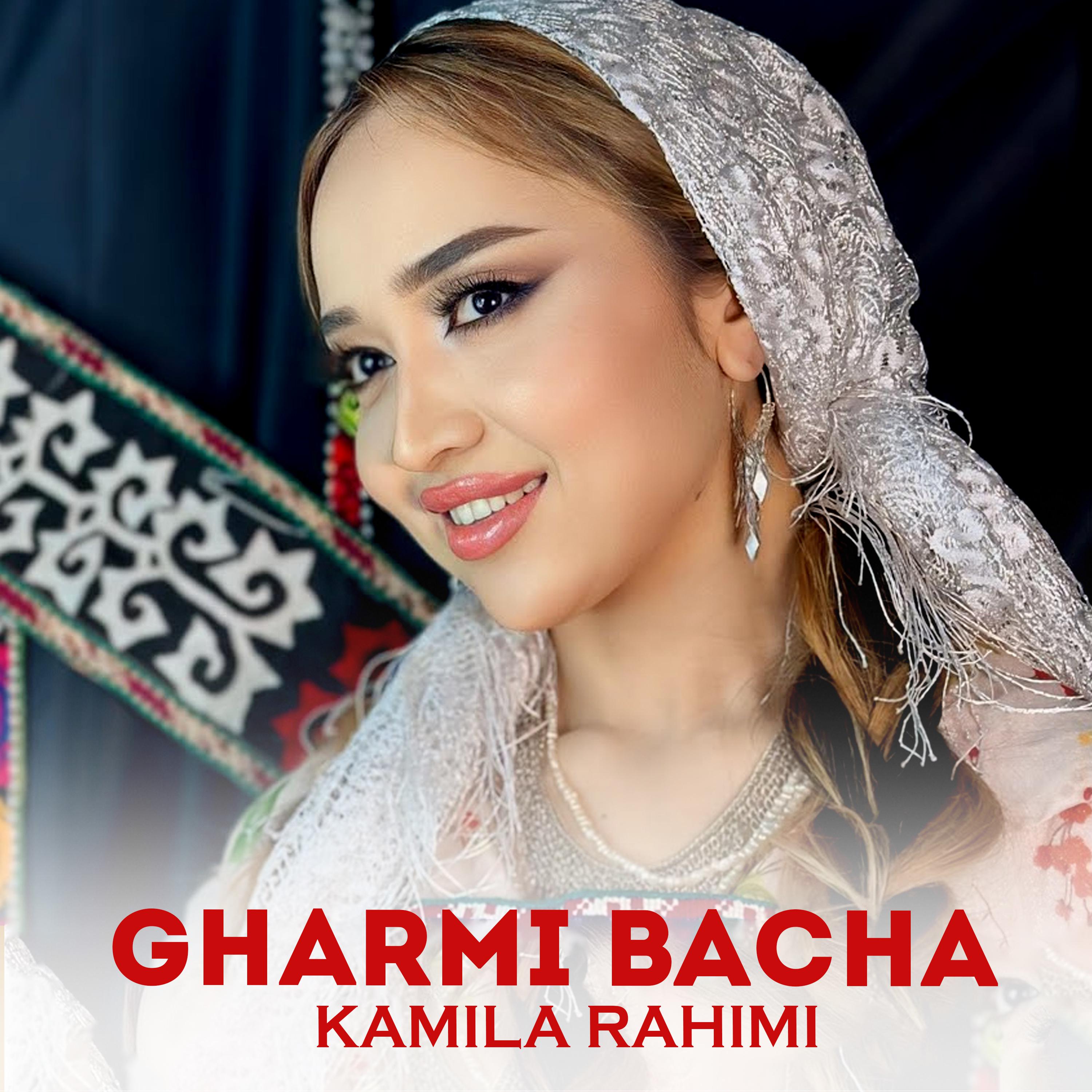 Постер альбома Gharmi Bacha
